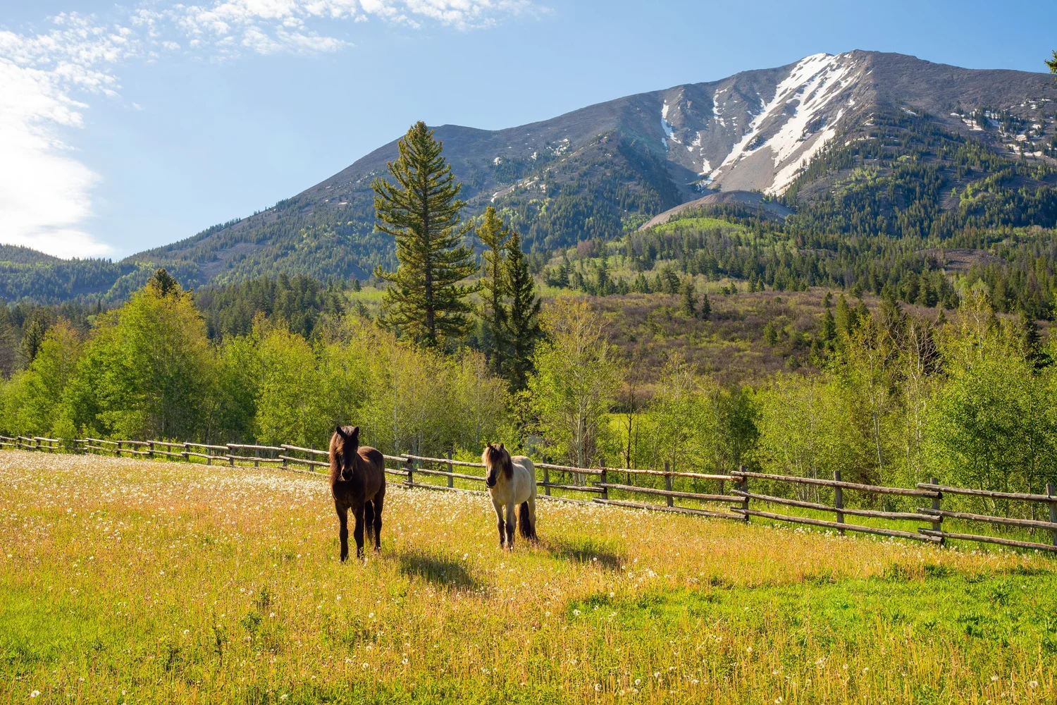 Hanging Valley Ranch