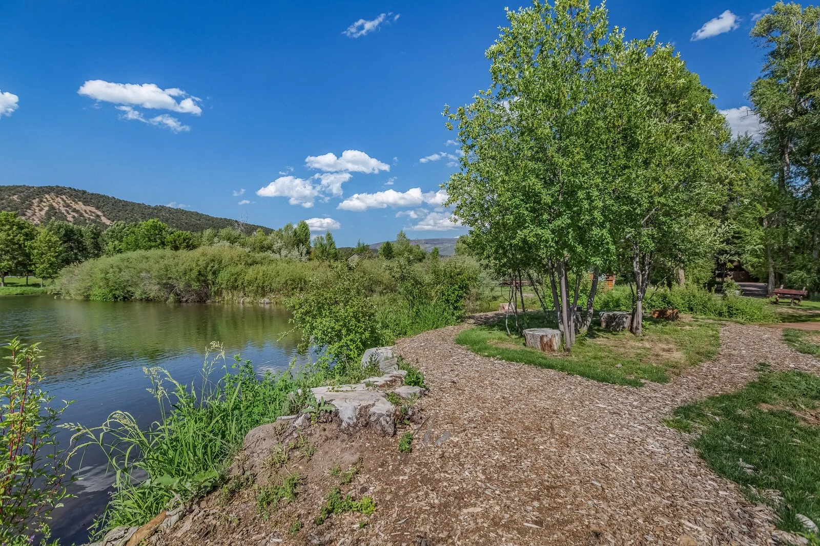 45_11_Pinon_Lane_Carbondale_81623045_mls.jpg