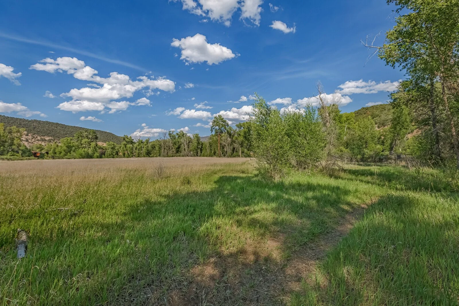 50_11_Pinon_Lane_Carbondale_81623050_mls.jpg