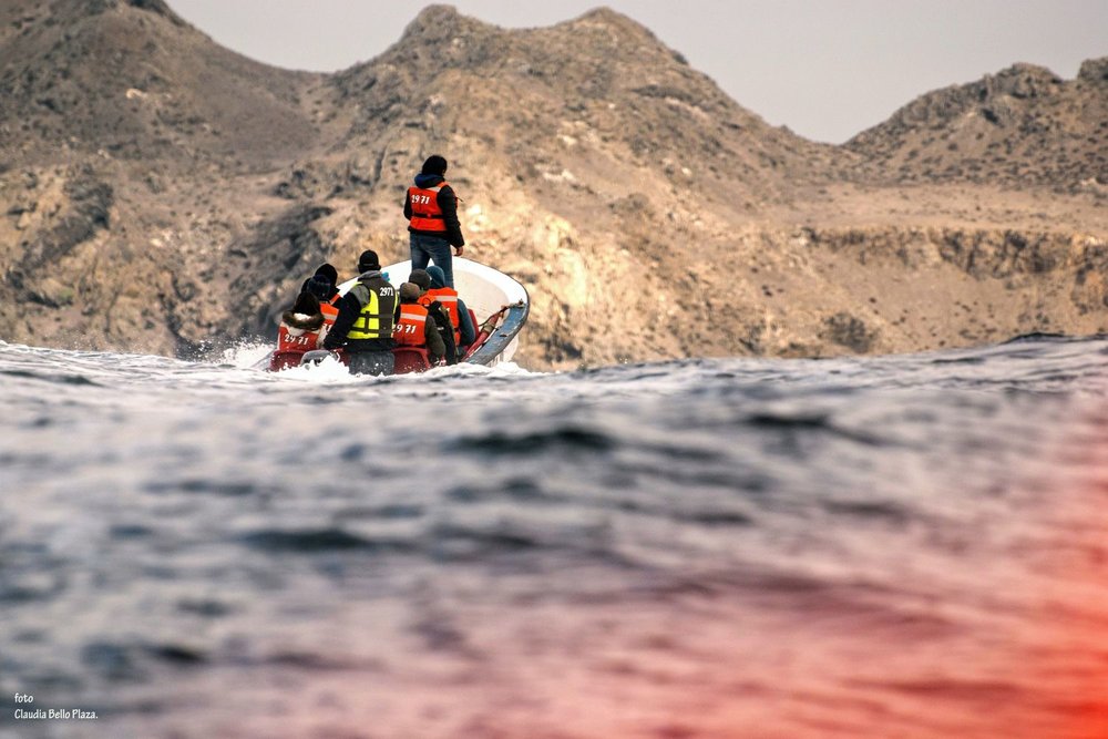 Boat near Punta de Choros in Chile. Credit: Claudia Bello