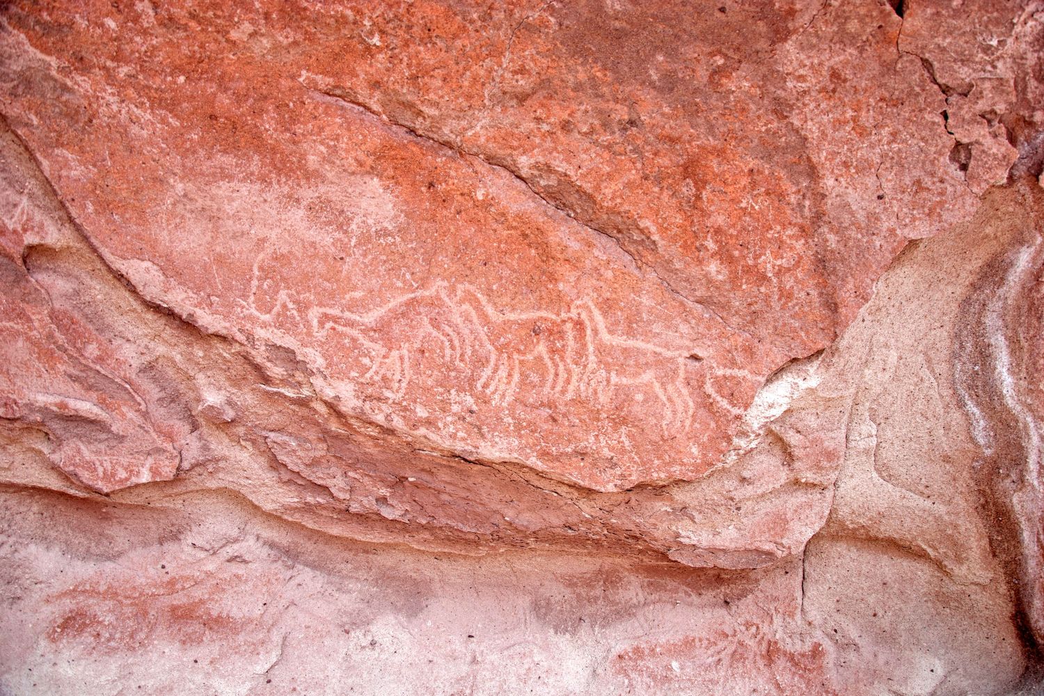 The Petroglyphs of Hierbas Buenas in the Atacama Desert in Chile.