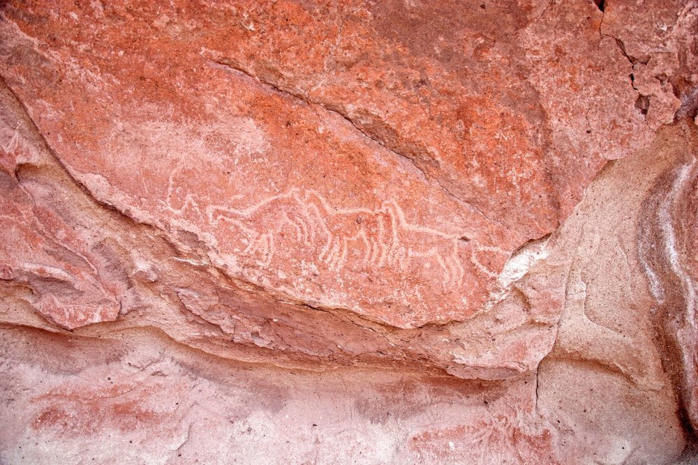 The Petroglyphs of Hierbas Buenas in the Atacama Desert in Chile.