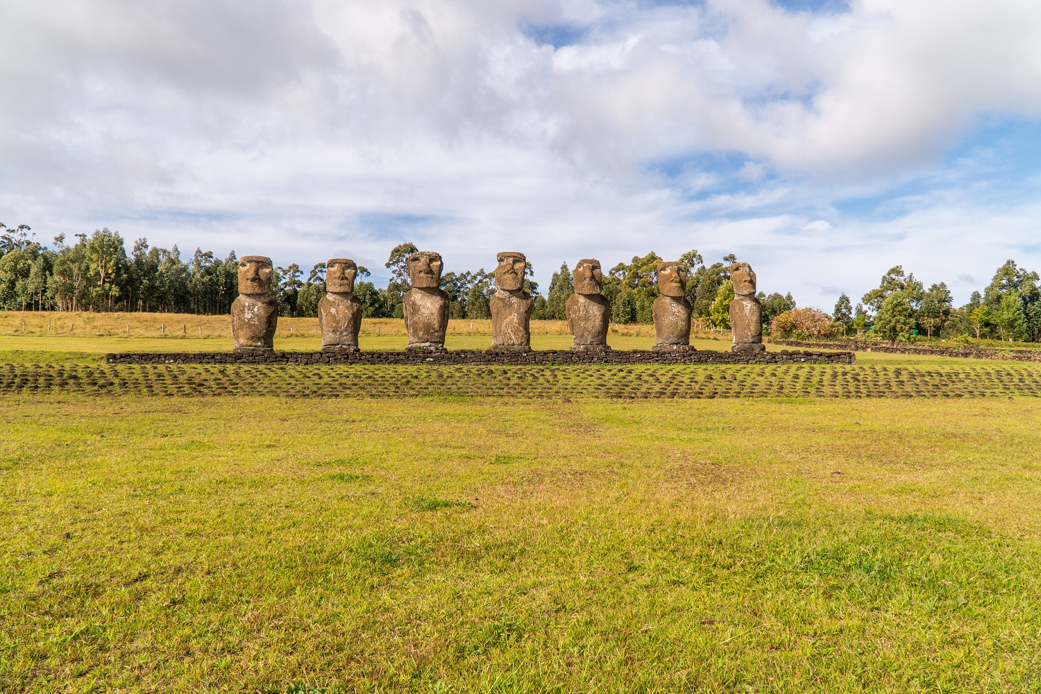 CHILEMONTAÑA RAPA NUI 2019 - FULL DAY-61.jpg