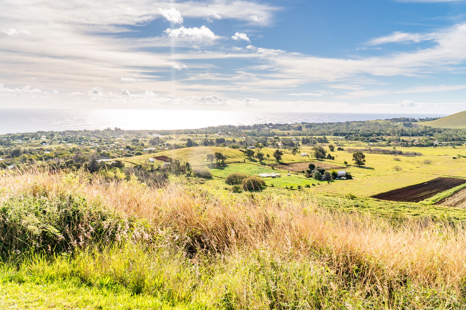 CHILEMONTAÑA RAPA NUI 2019 - FULL DAY-88.jpg