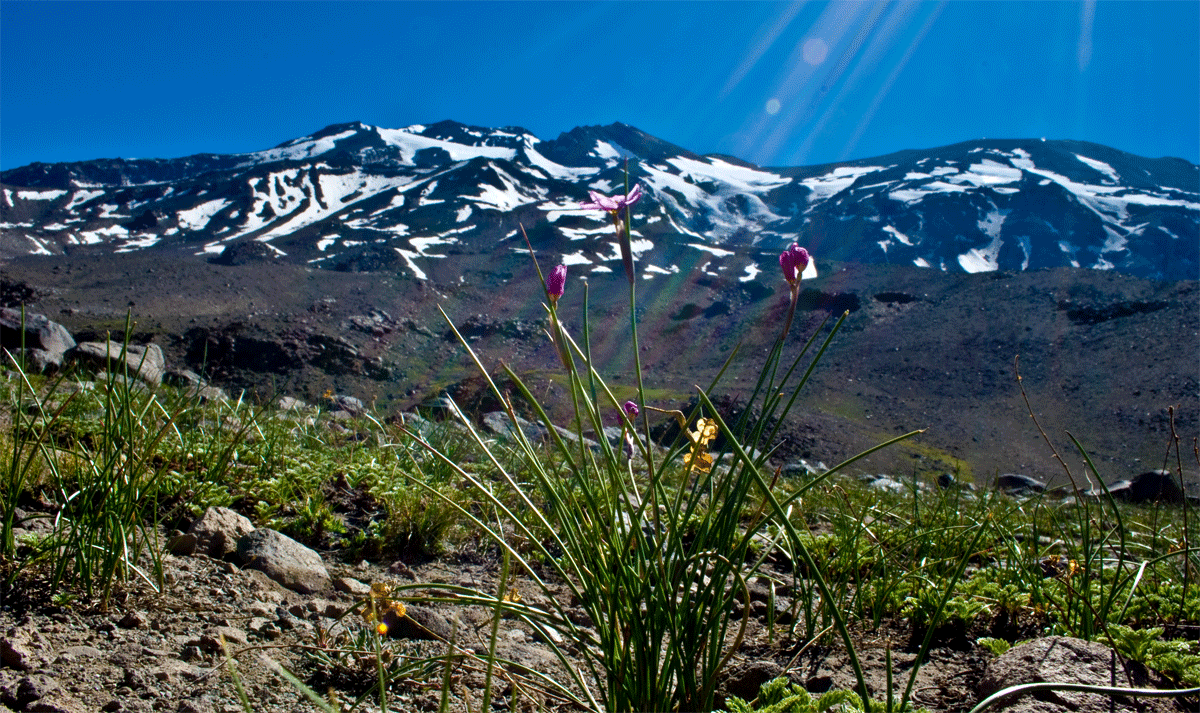 Vn. San José Base Camp Hiking tour near Santiago de Chile with Chile Montaña_02.gif