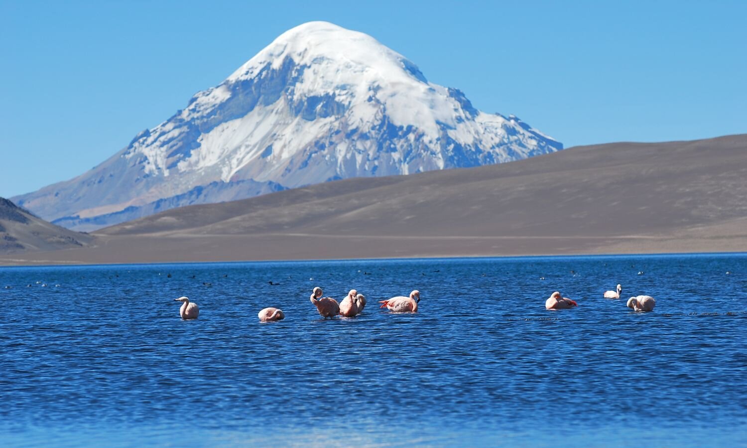 Atacama & South Lipez Overland Tour with Chile Montaña.jpg