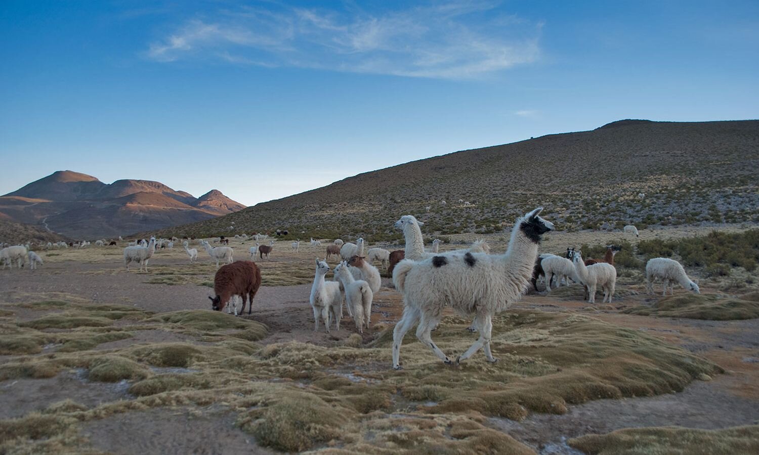 Atacama & Bolivia Overland Tour with Chile Montaña_04.jpg