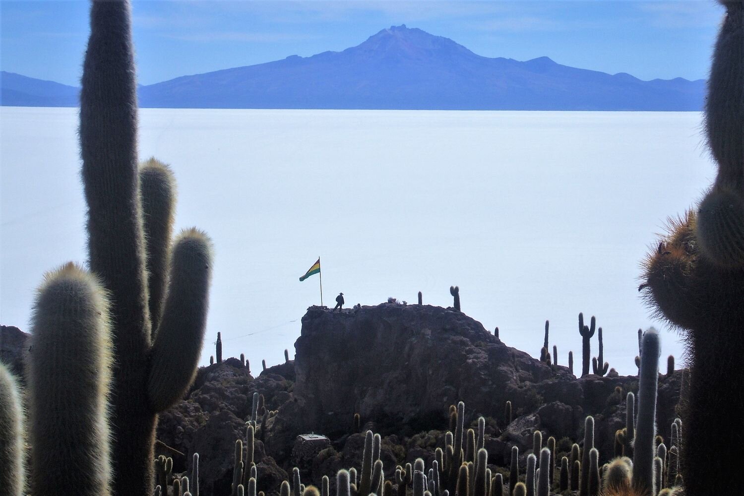  A view of the Uyuni Salt Flat and Tunupa volcano in the background, from Pescado Island.  