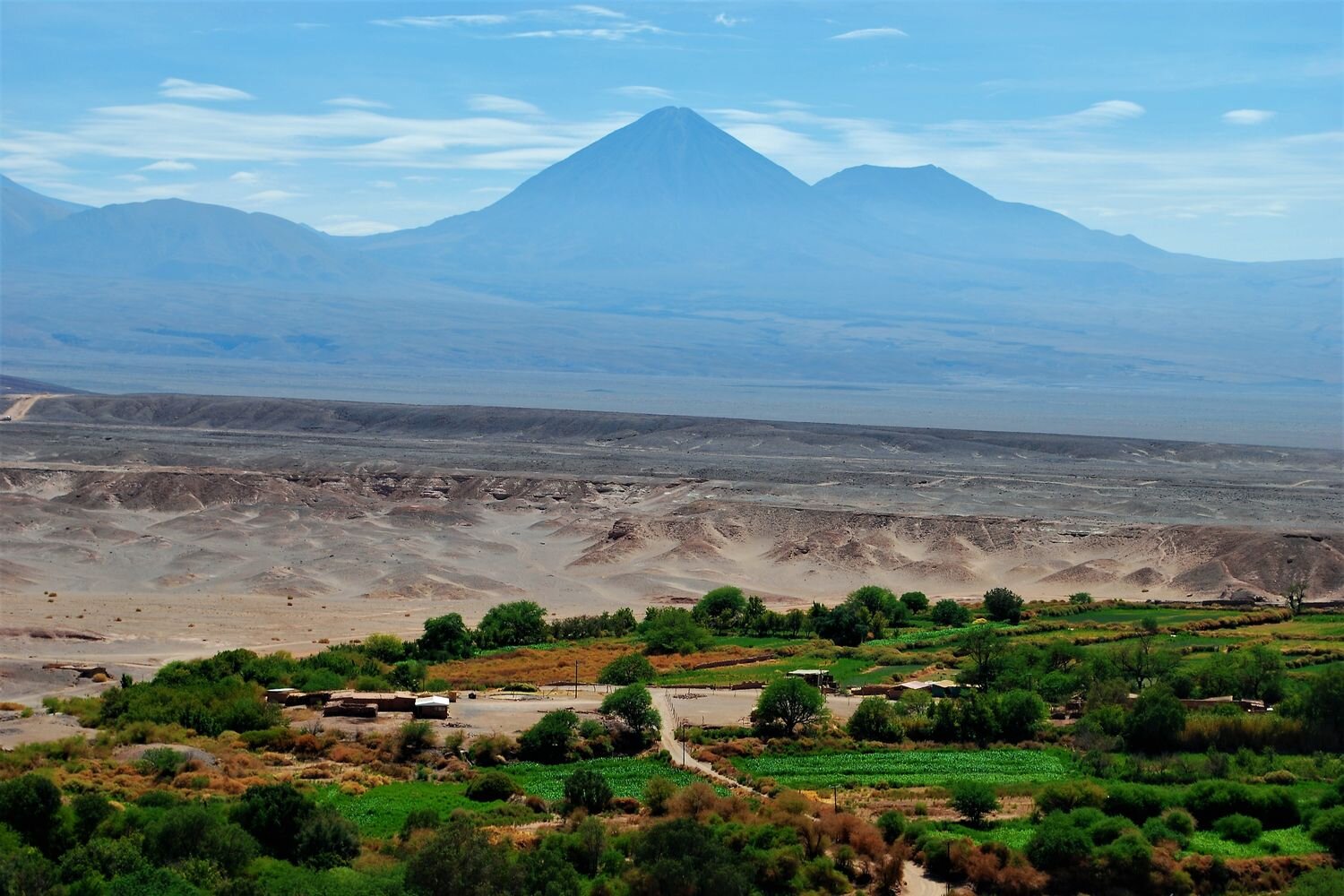  A view of the San Pedro de Atacama Oasis, with Licancabur and Juriques volcano in the background. Atacama Chile 