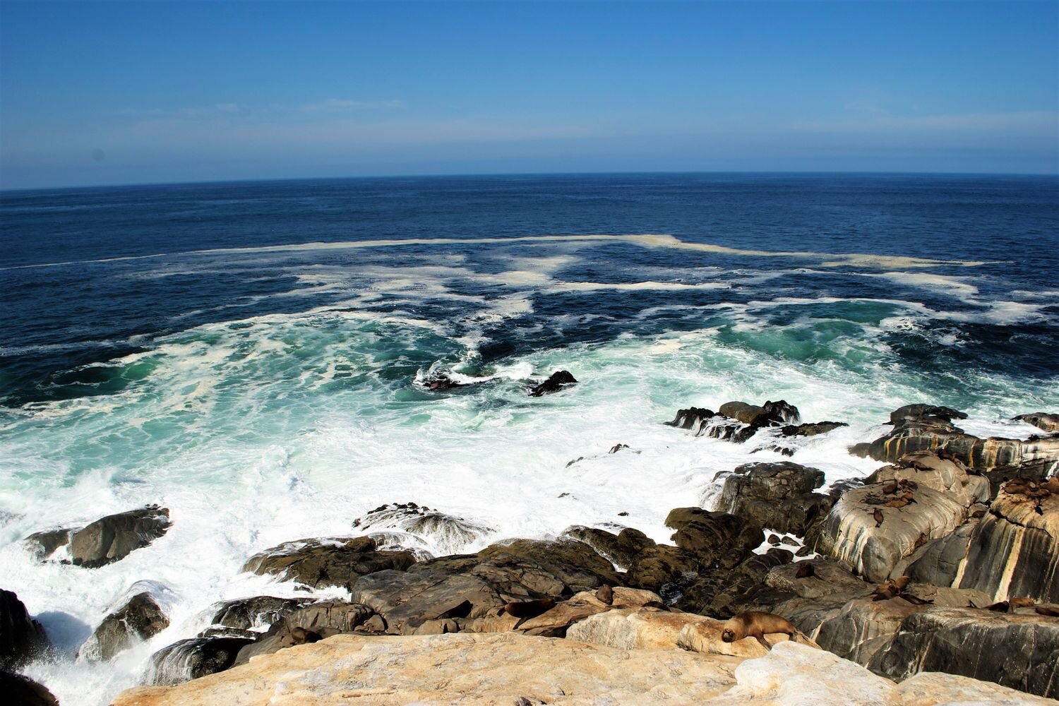  The last day of the expedition we descend all the way down to the Pacific Ocean. Antofagasta, Chile. 