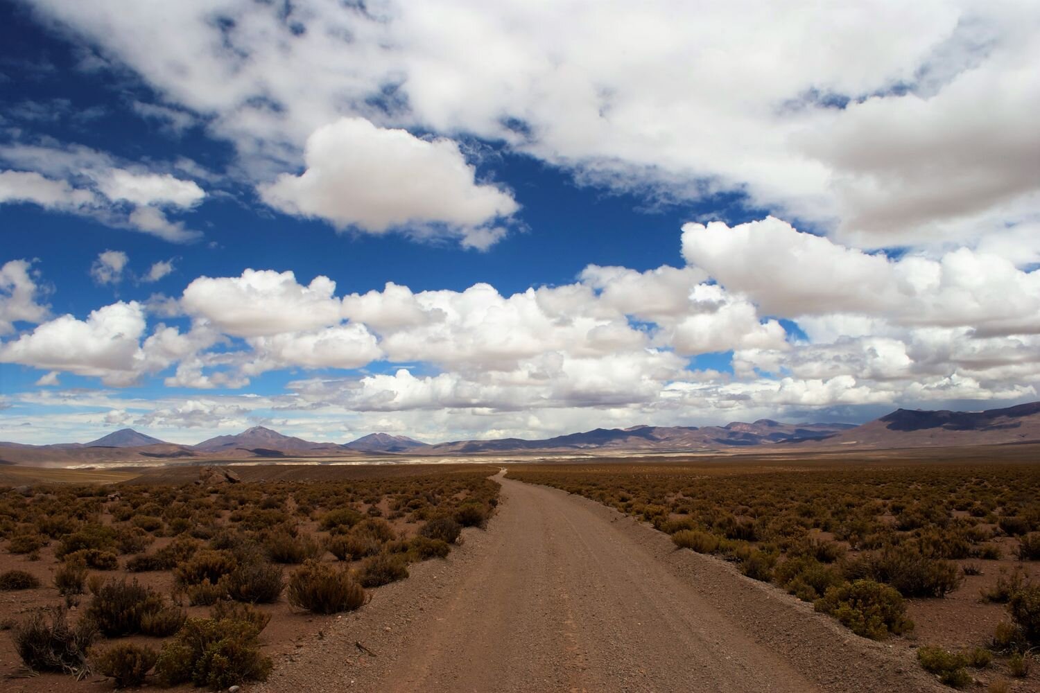  The dirt road bringing to llullaillaco National Park. Chilean Altiplano. 