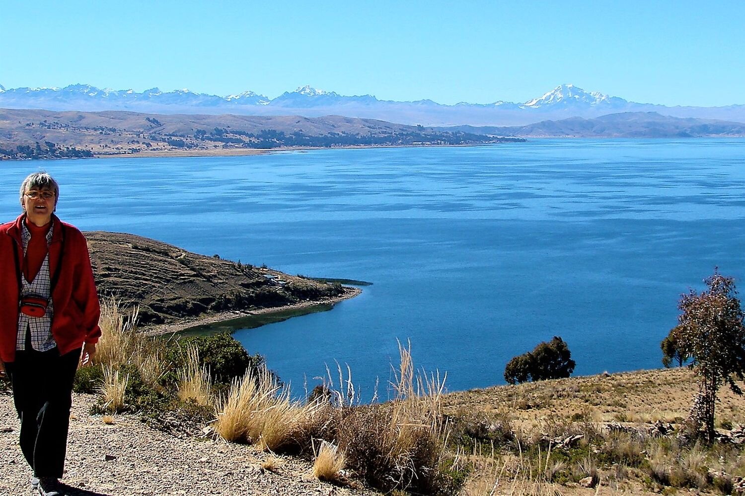  Lake Titicaca with Cordillera Real in the background. Bolivia. 