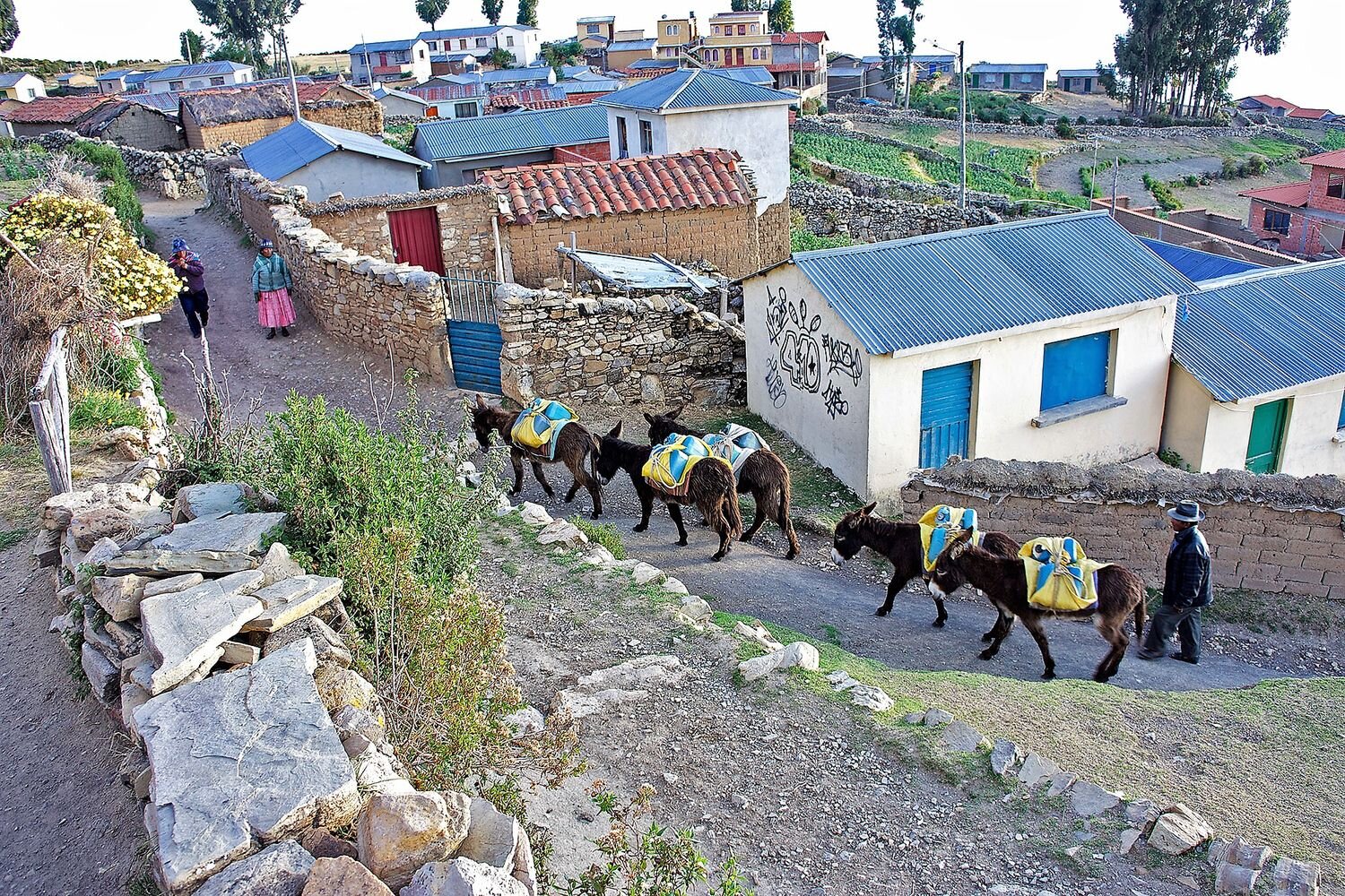  A scene of everyday life in Isla del Sol. Bolivia 