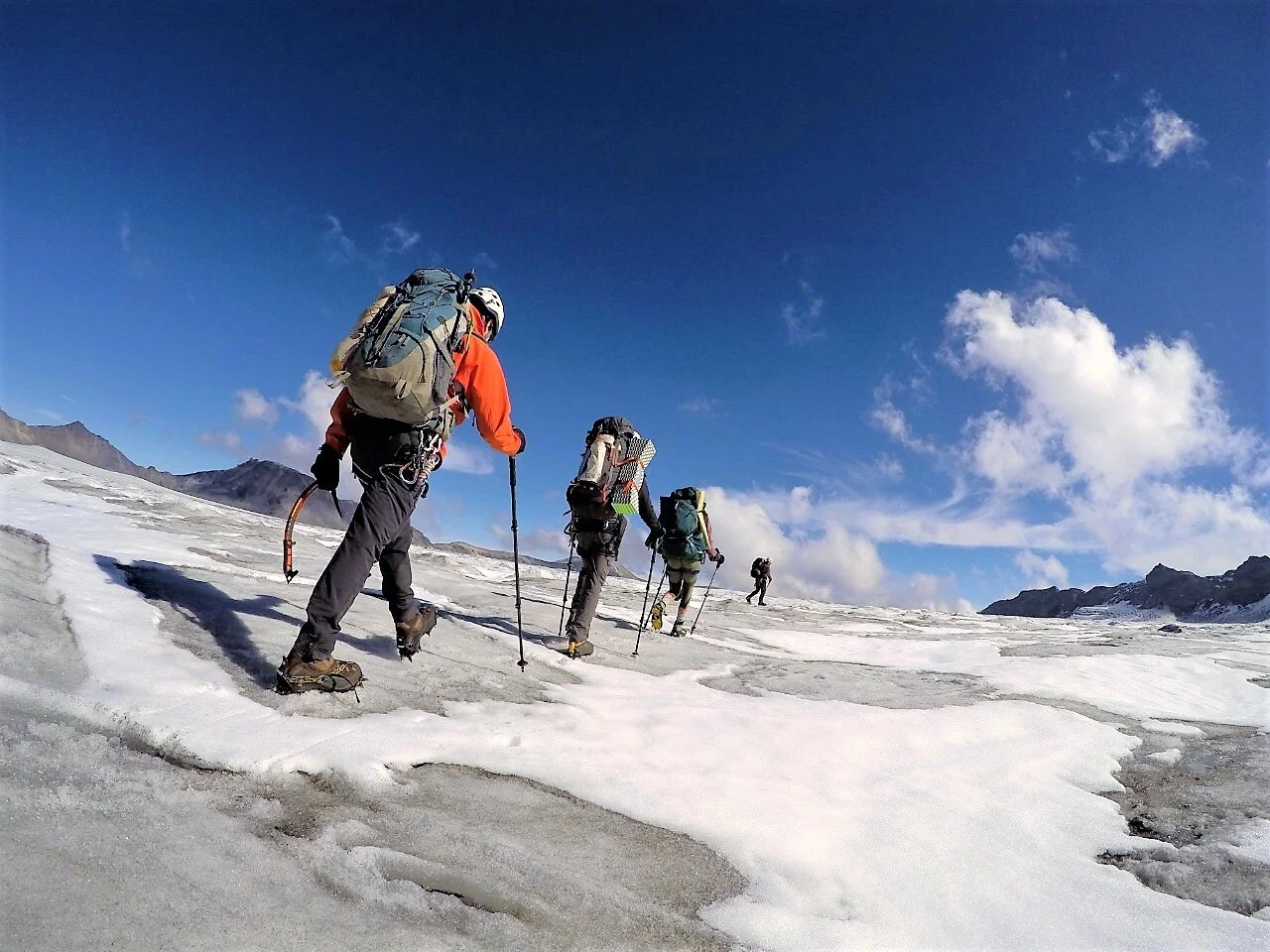 Have you heard about the Andean Araucania in southern Chile?