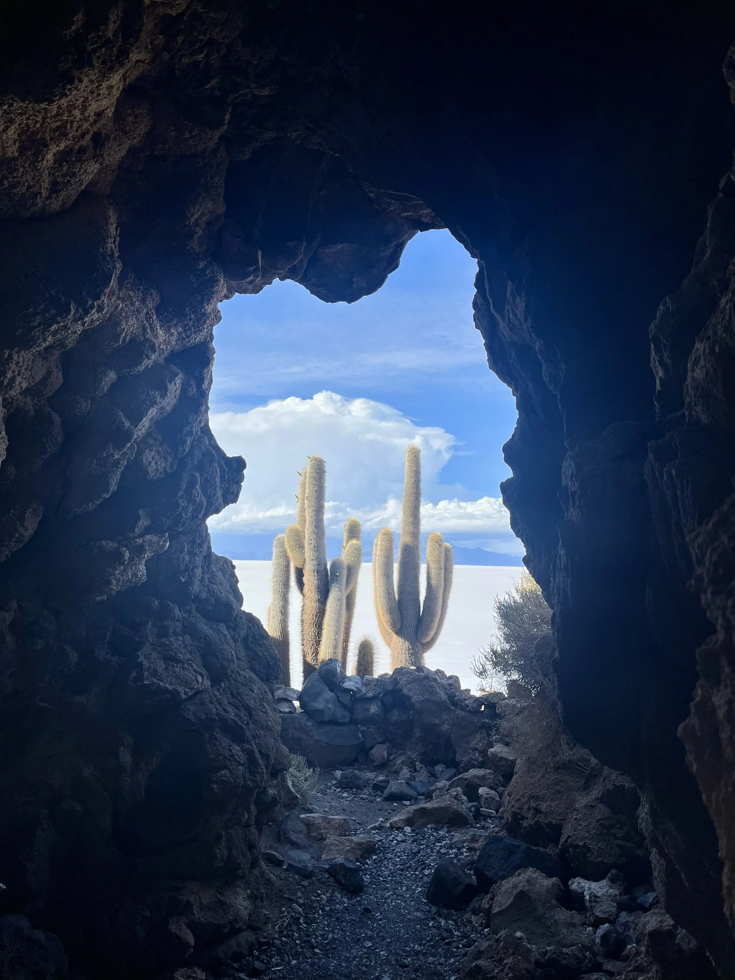 Giant Cacti Viewed from a Volcanic Cave in Uyuni