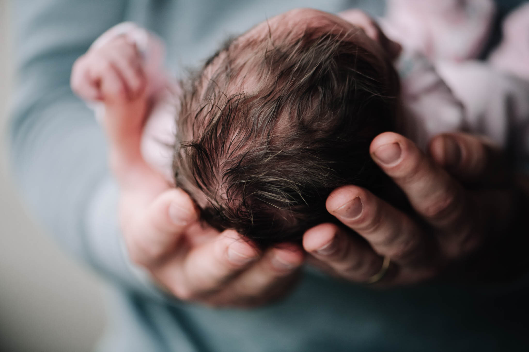 Newborn In-Home or In-Hospital Fresh 48 newborn sessions — Maryland Birth  Photographer and Films | Sarah Elizabeth Photography