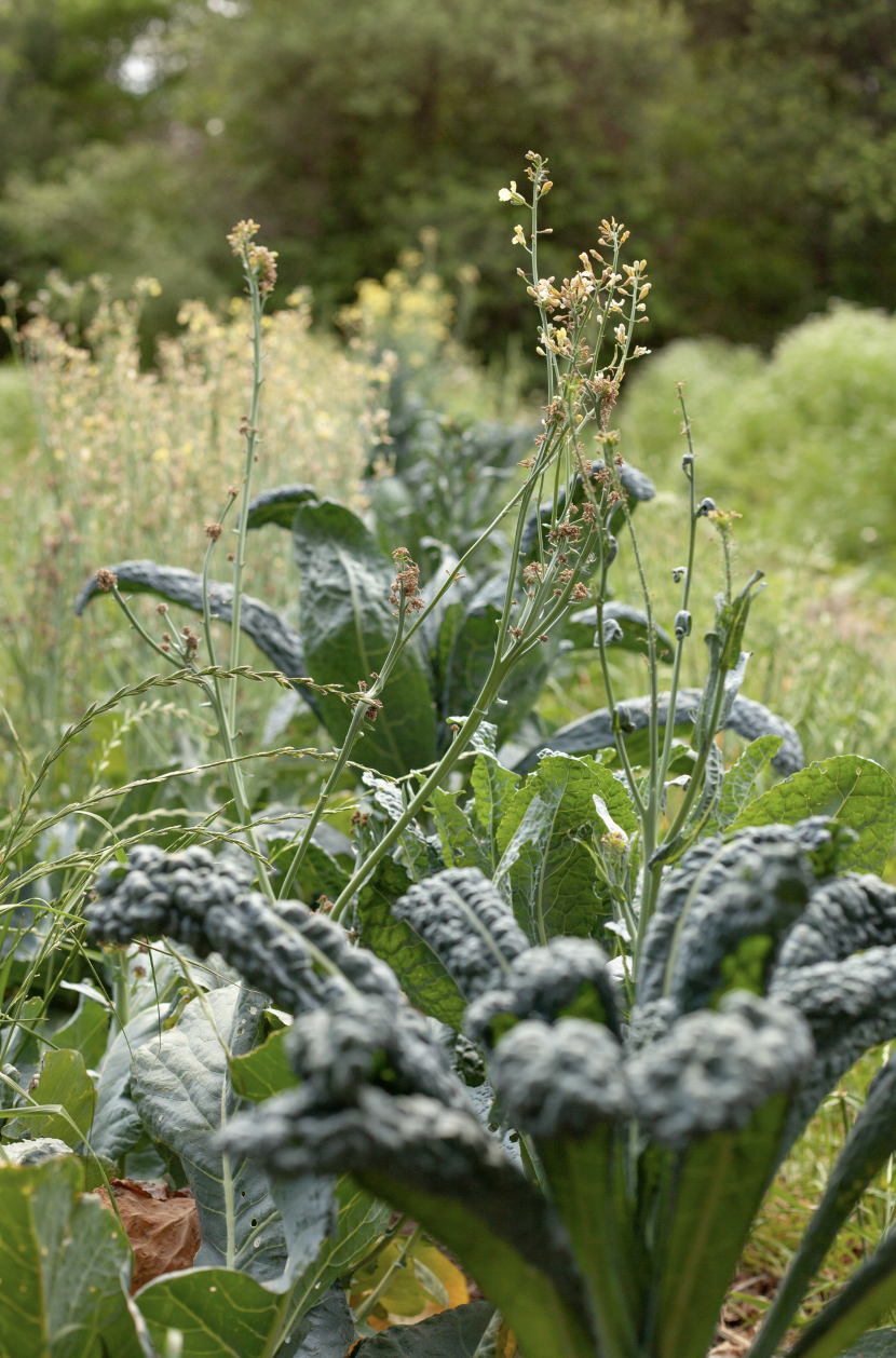 Screen Shot 2025-06-23 at 11.19.23 PM.png