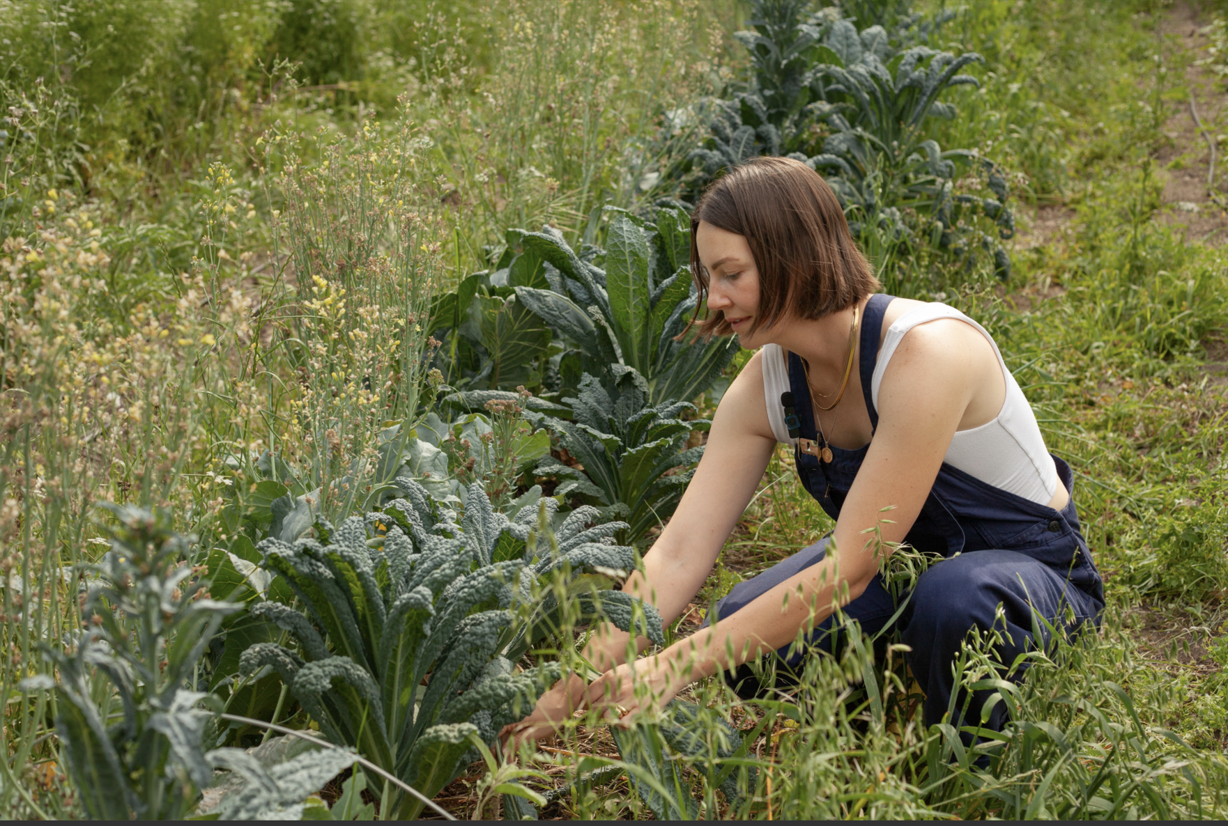 Screen Shot 2025-06-23 at 11.21.09 PM.png