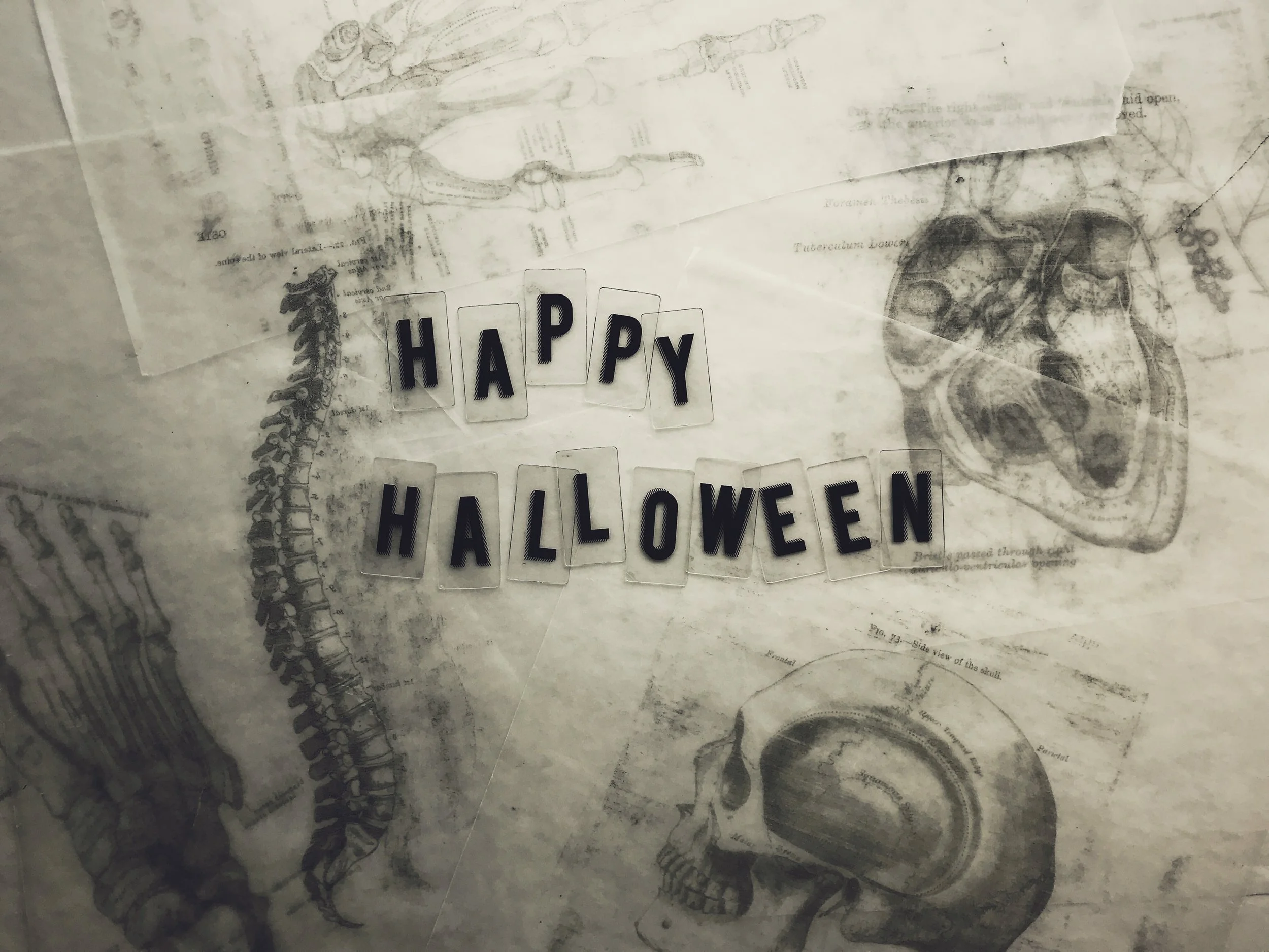 “Happy Halloween” A Religious Backstory to one of the Most Celebrated