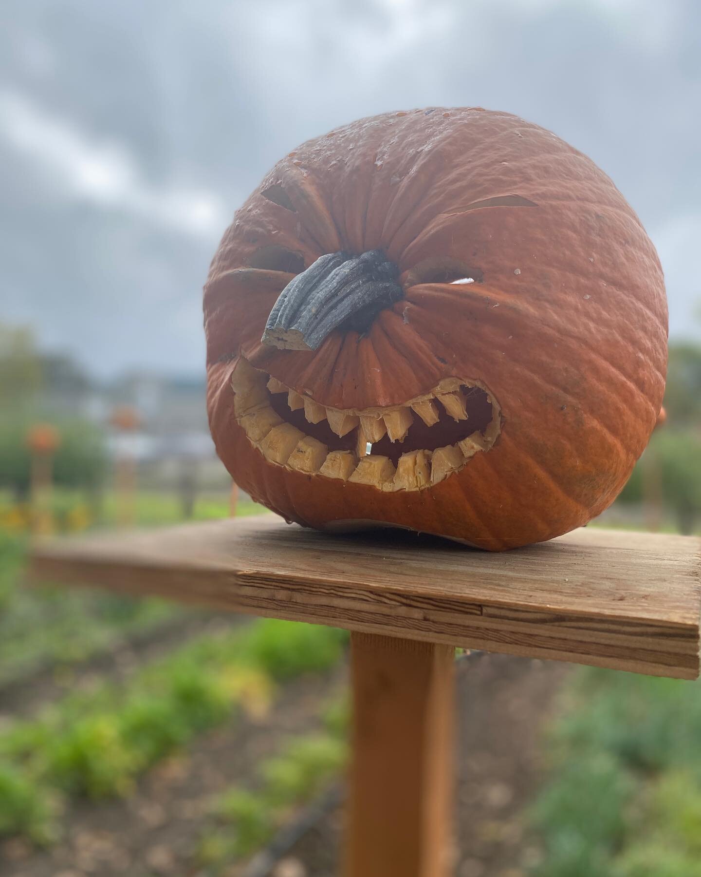 Happy Halloween!