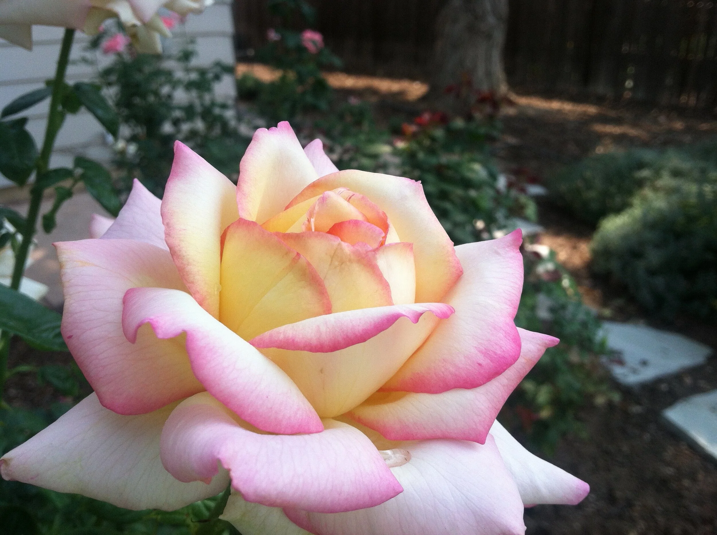 A Reflection as We Head Into The Fourth Quarter