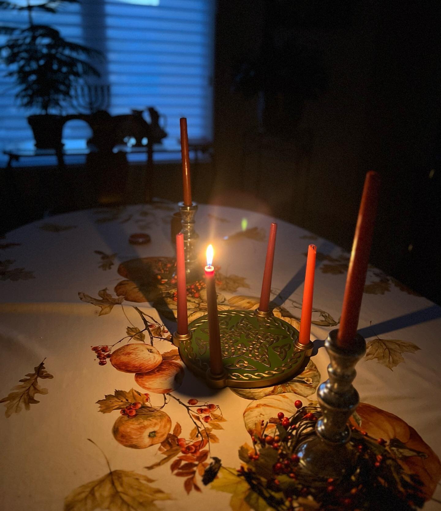 The pumpkins, the pilgrims, and the pies still have prominent places in this house when suddenly the the first Sunday of Advent arrives.  The still blooming fall flowers that made up a centerpiece on the Thanksgiving table have been moved to another 