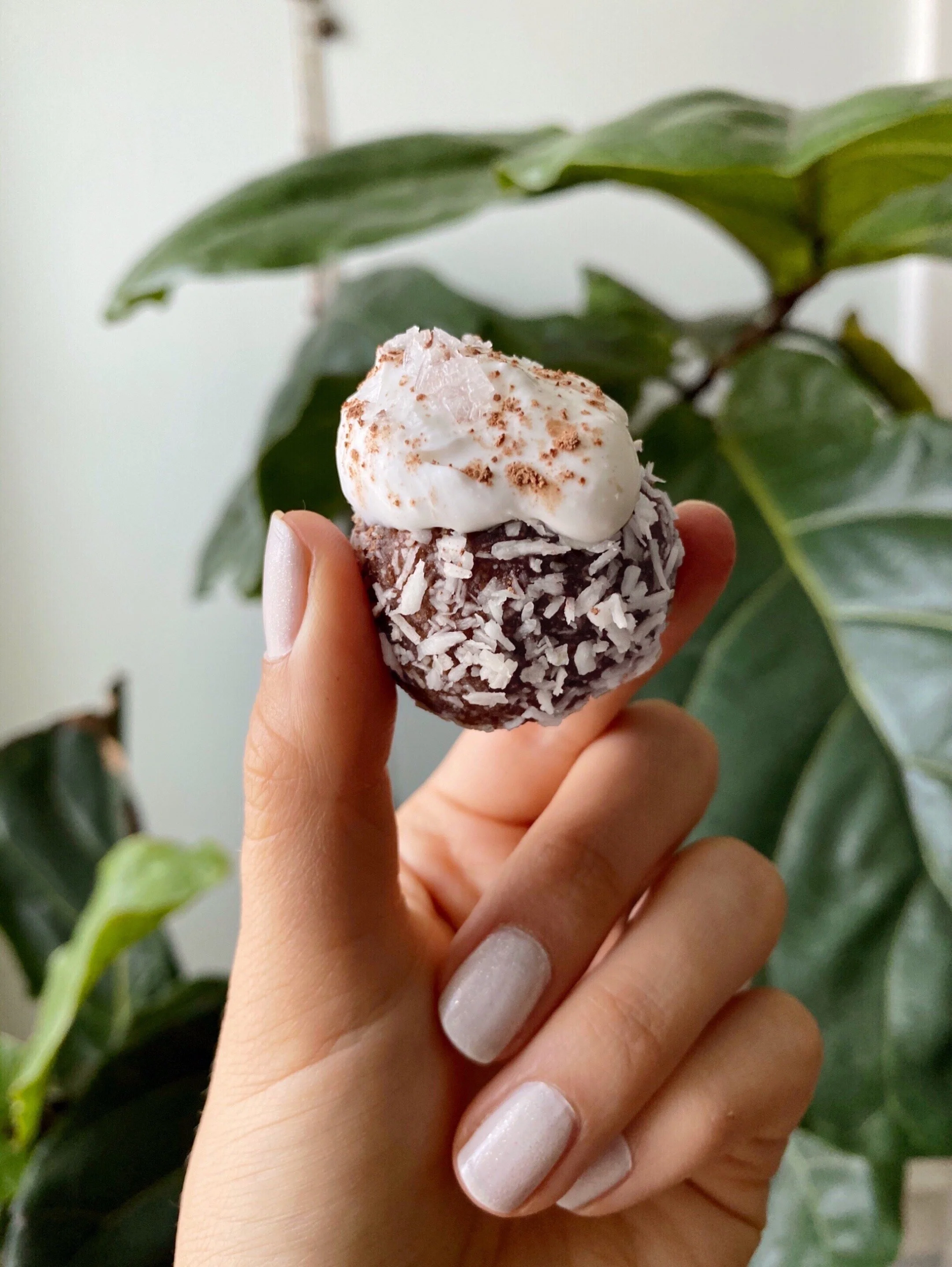  Lions Mane Coco Balls for Focus