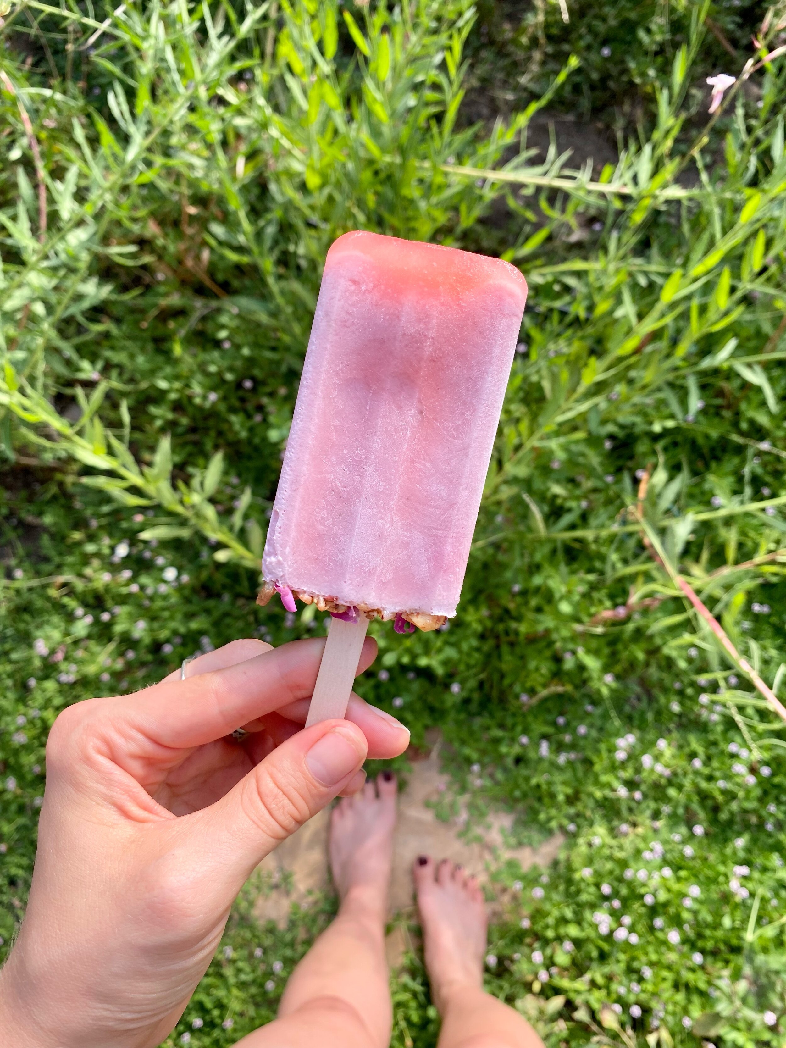 Strawberry Cream Popsicles (V)