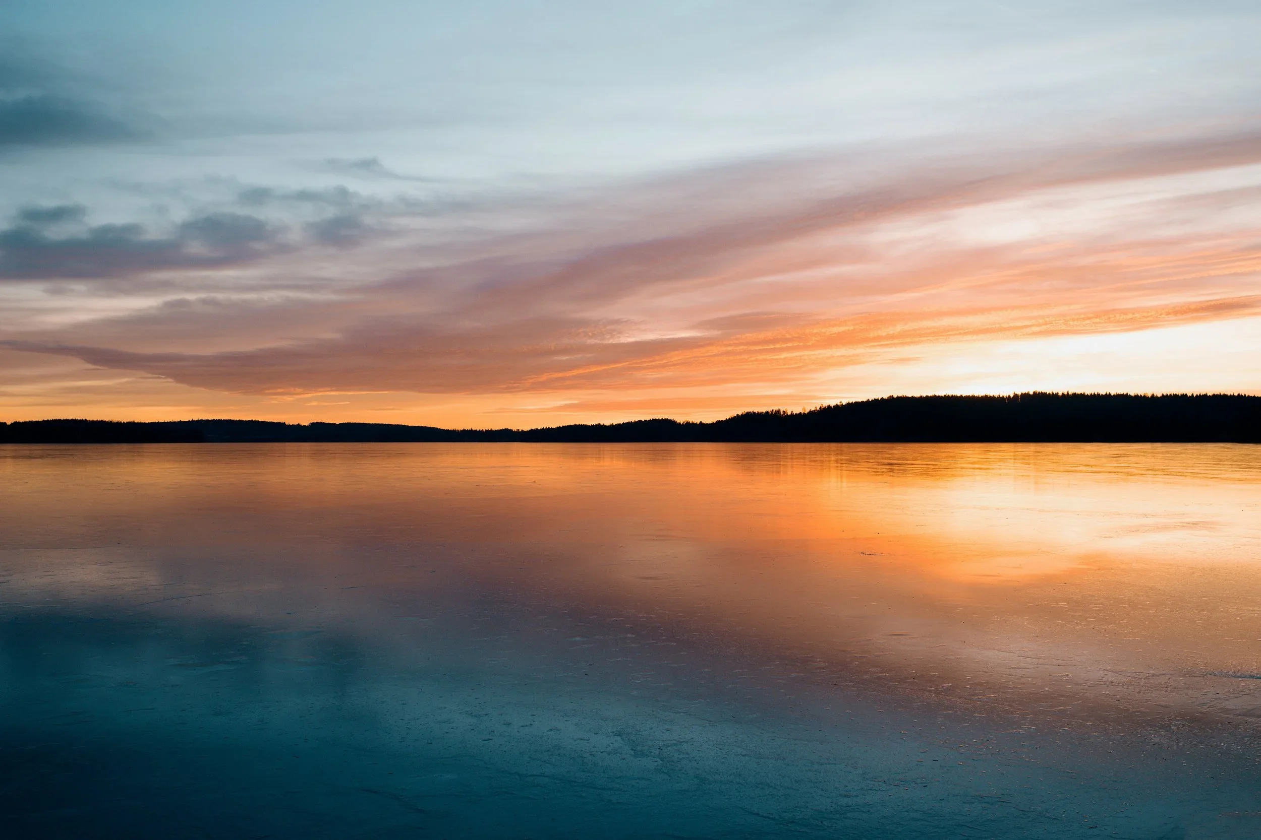 backdrop.webp