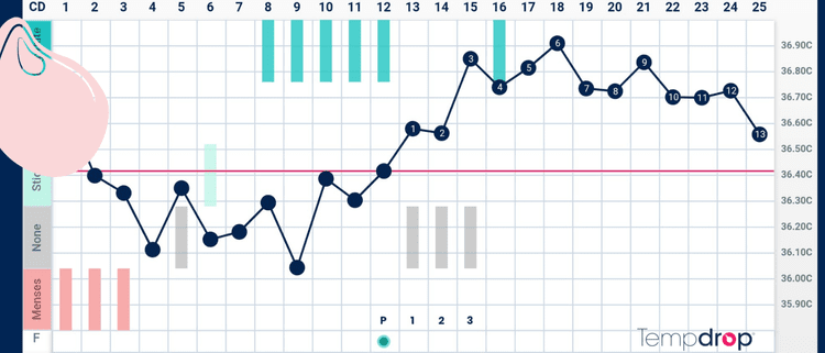 How To Track Your Cycle with Basal Body Temperature (BBT) — Savannah ...