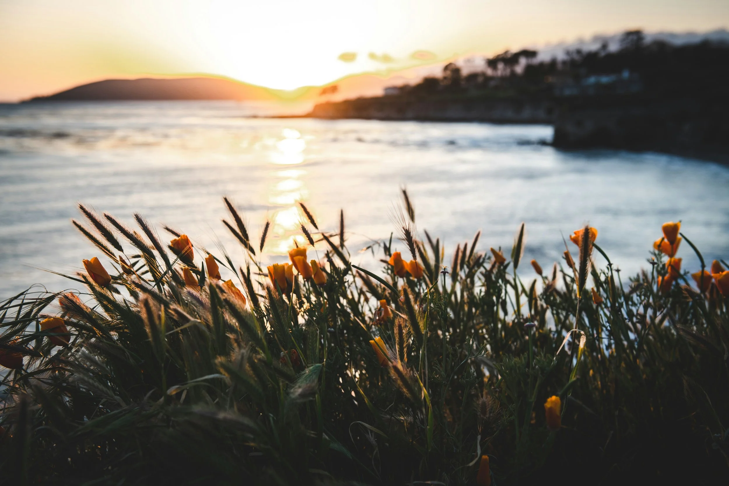 8-Week Nutrition Counseling Package — Fall Equinox Sale