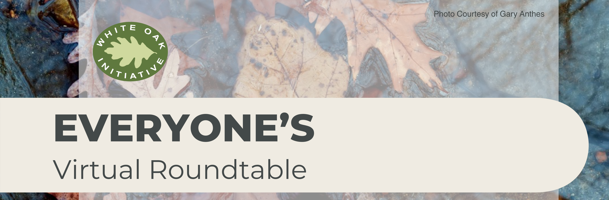 WOI Everyones’ Virtual Roundtable