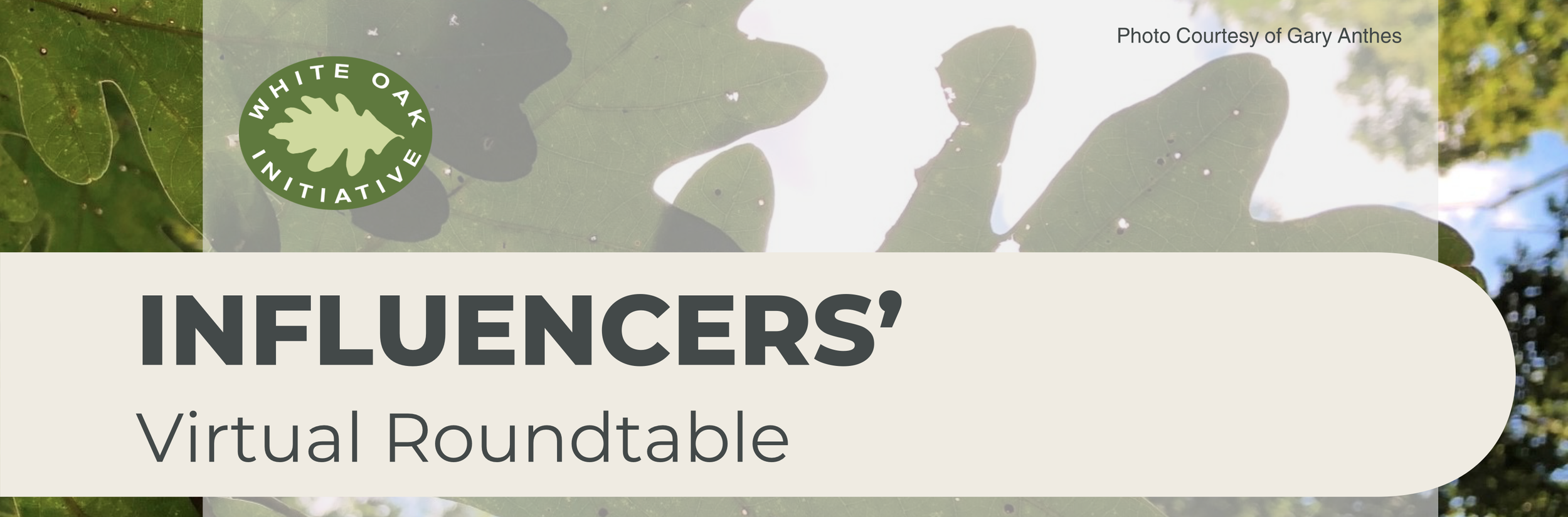 WOI Influencers’ Virtual Roundtable