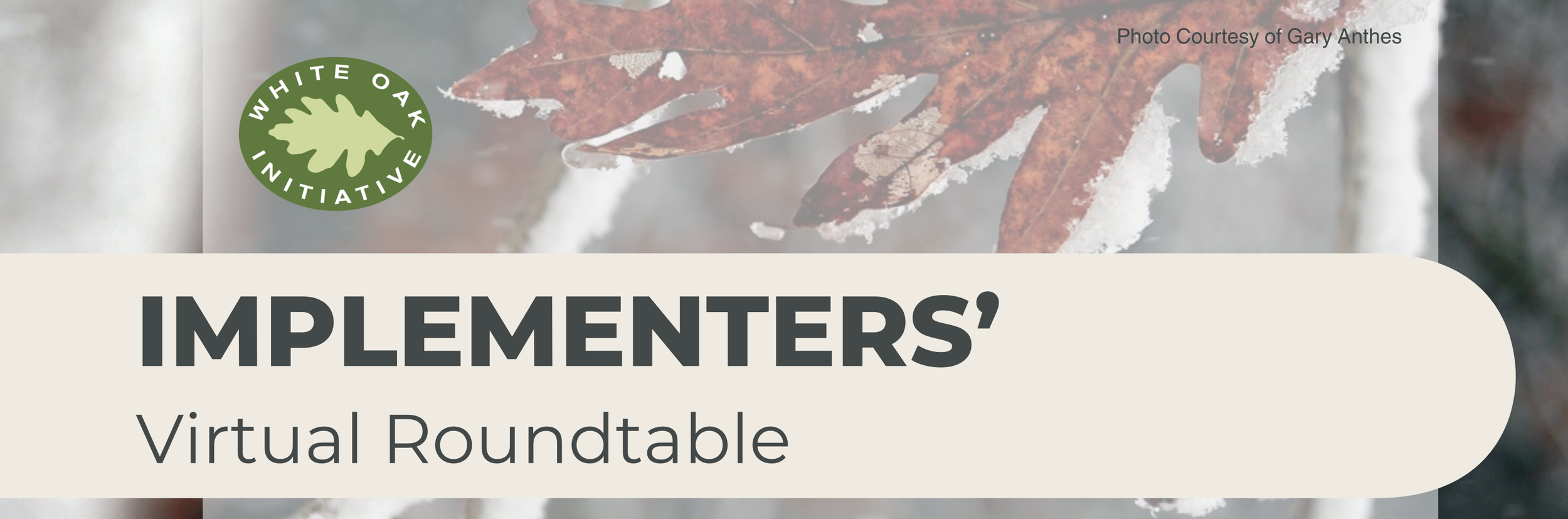WOI Implementer’s Virtual Roundtable