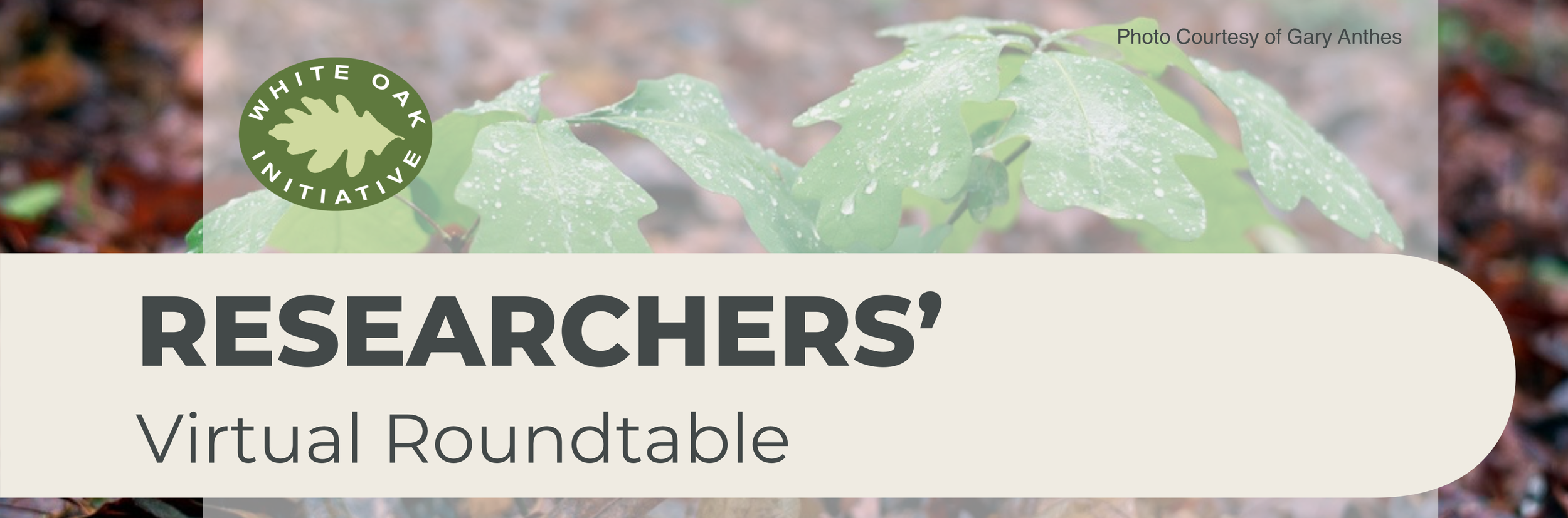 WOI Researchers’ Virtual Roundtable