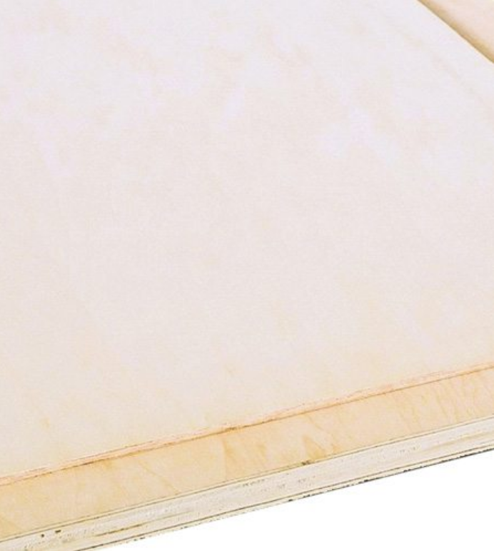 Maple Plywood