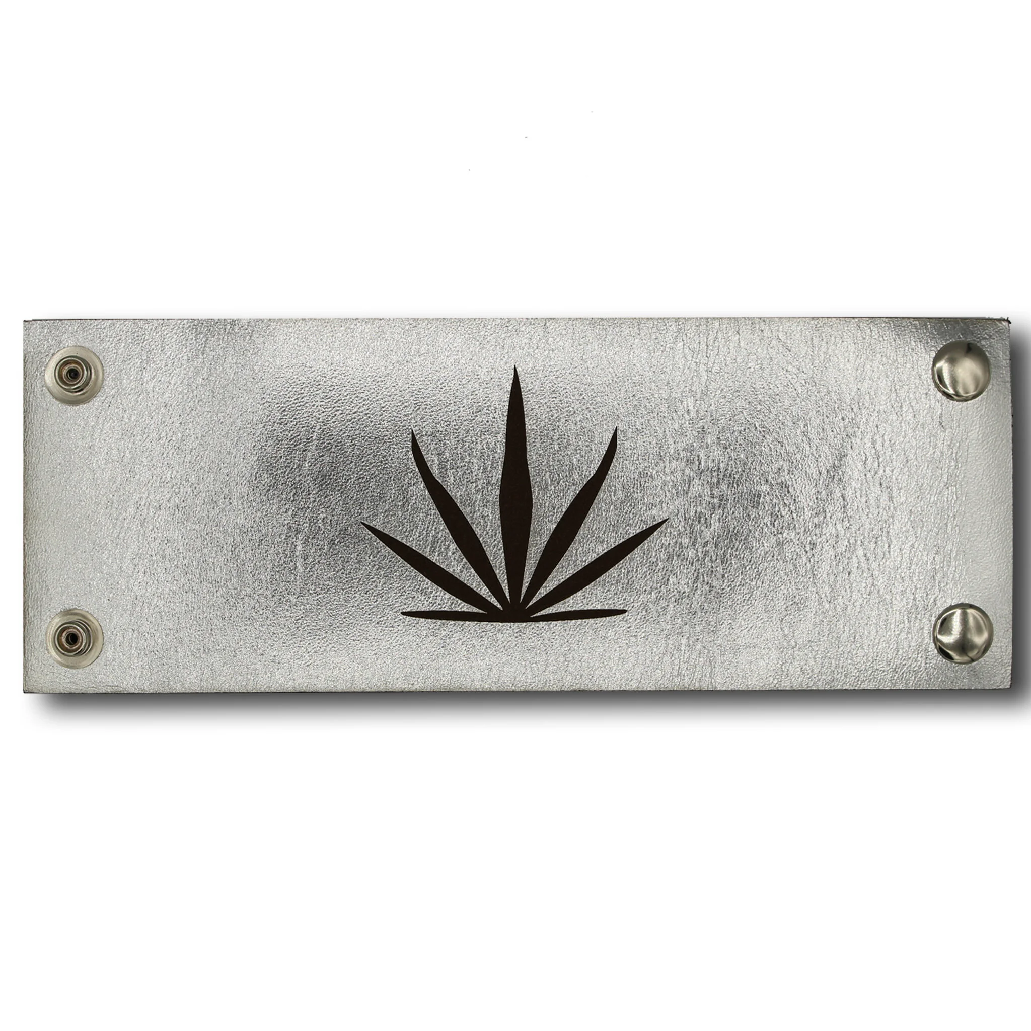 IMG_3446 Optimized.JPG