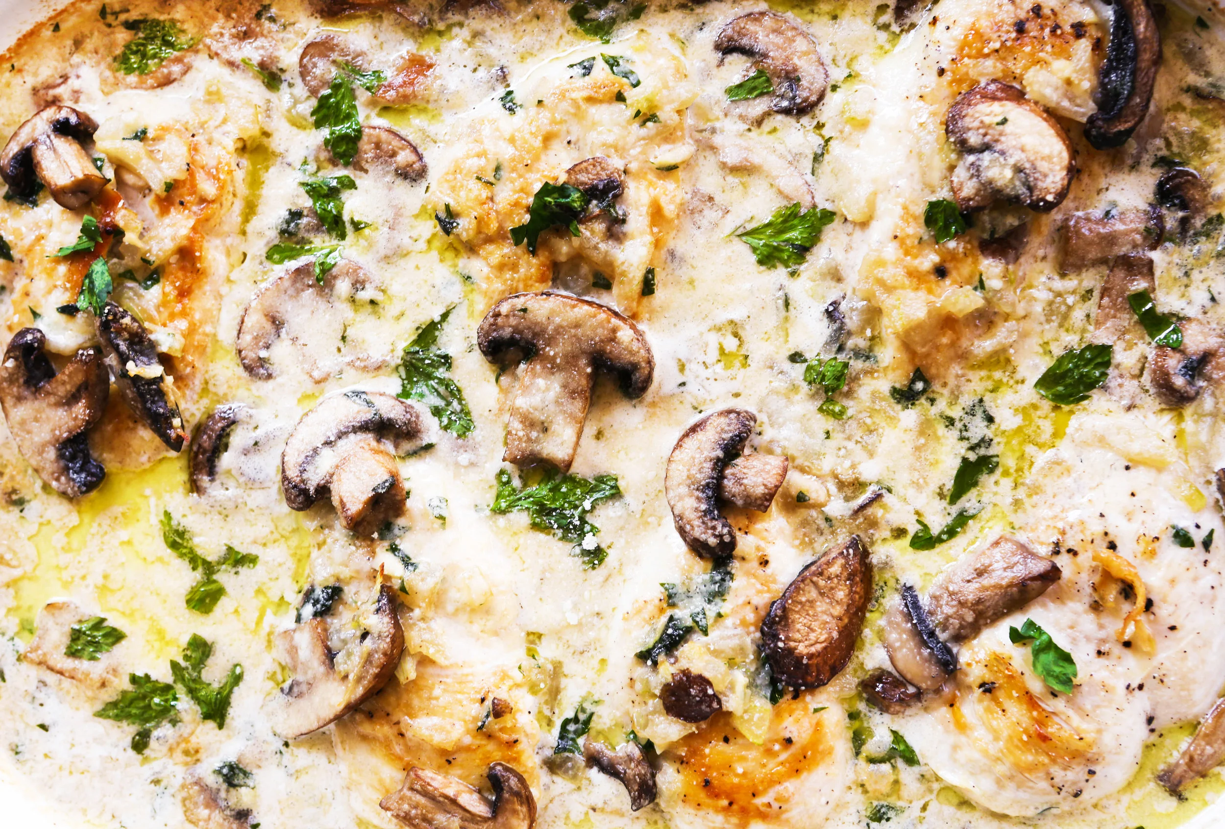 0818CreamyChickenMushrooms511B8435b.jpg