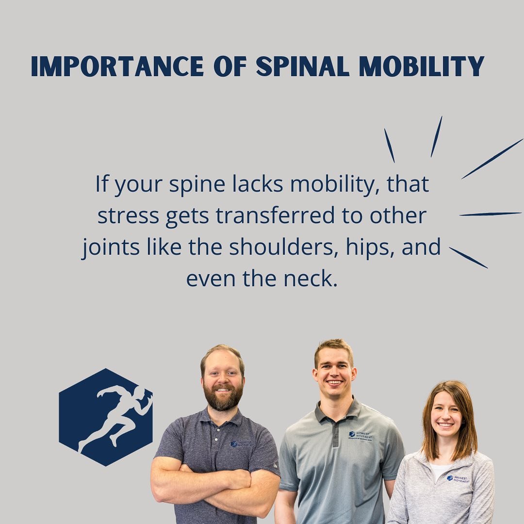 Importance of spinal mobility ⁠
⁠
#chiropractor #chiropracticcare #getadjusted #healthylifestyle #painfree #healthylife #tipsandtricks #spinalmobility