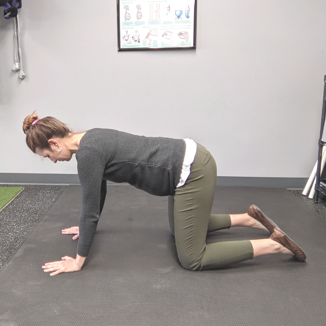 Can chiropractors flip breech babies? — Midwest Movement — Midwest ...