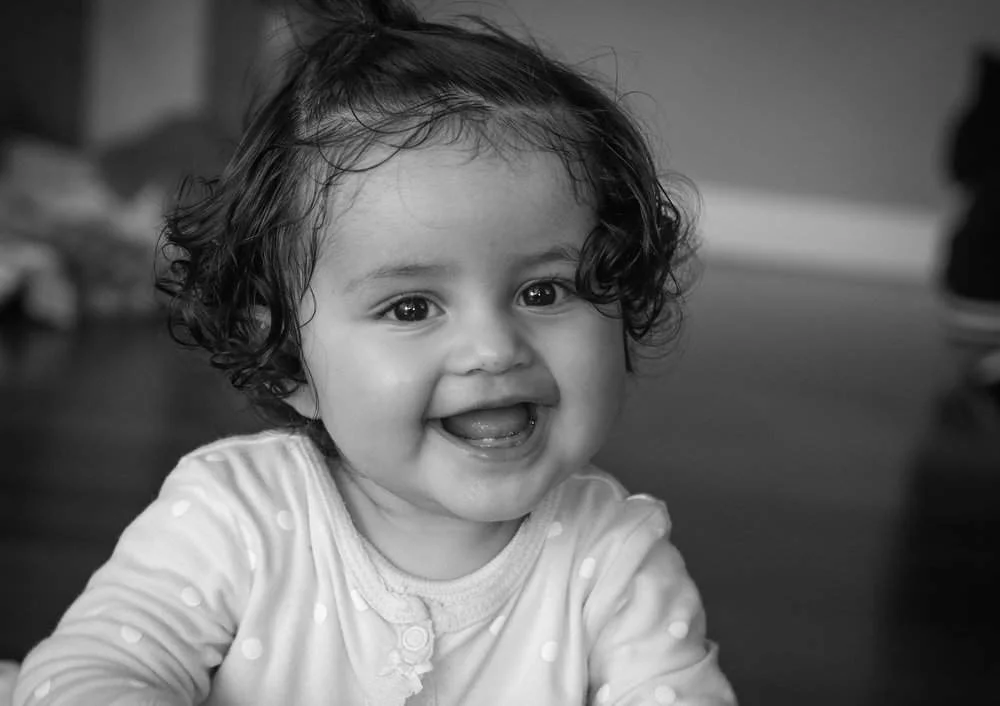 The first teeth