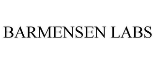 barmensen development LLC.png