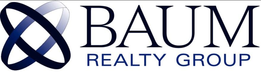 Bauman reality group.jpg