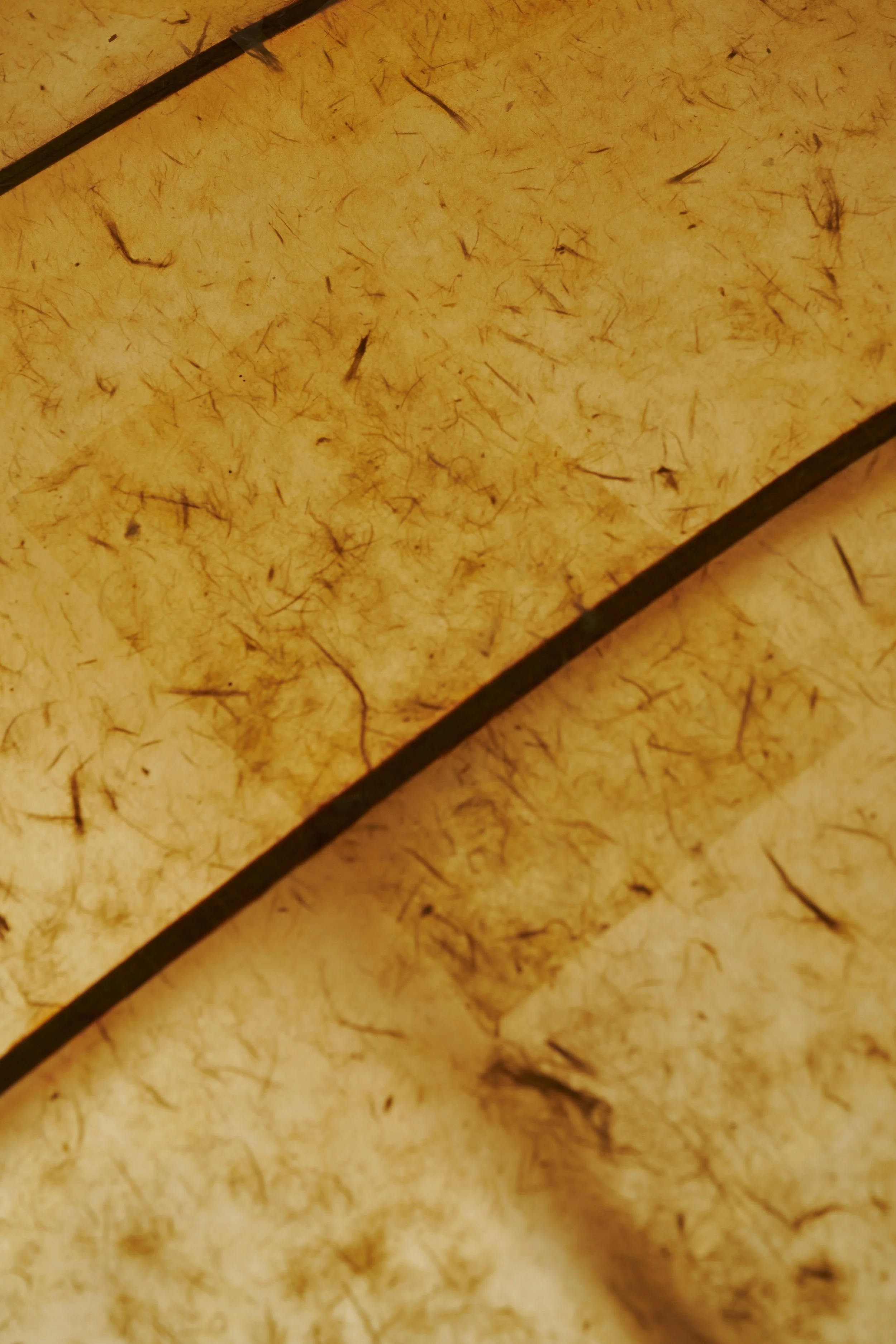 Superhouse_Colin Knight Solo_photo credit Matthew Gordon_31.jpg