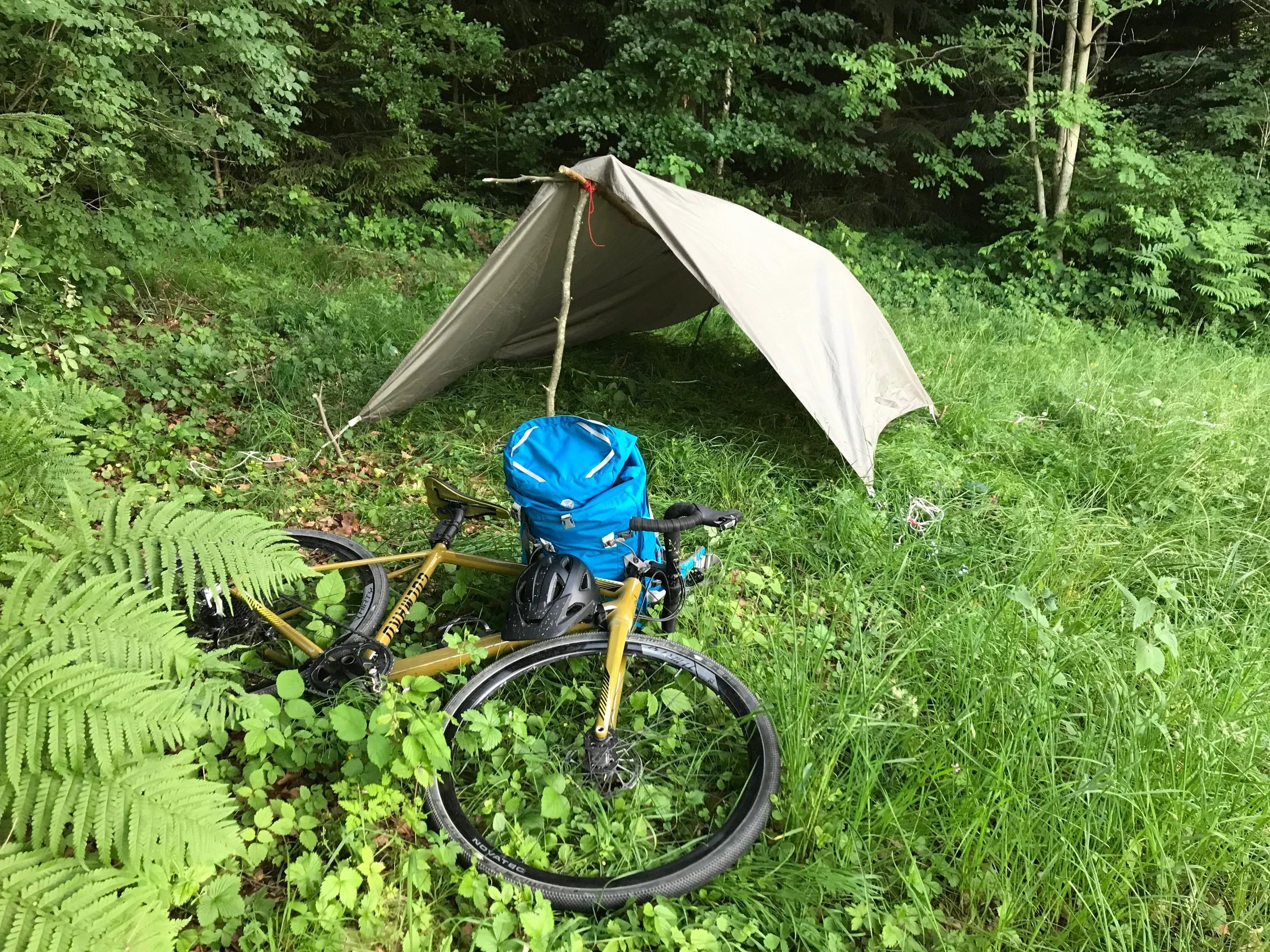 So nah und doch so fern