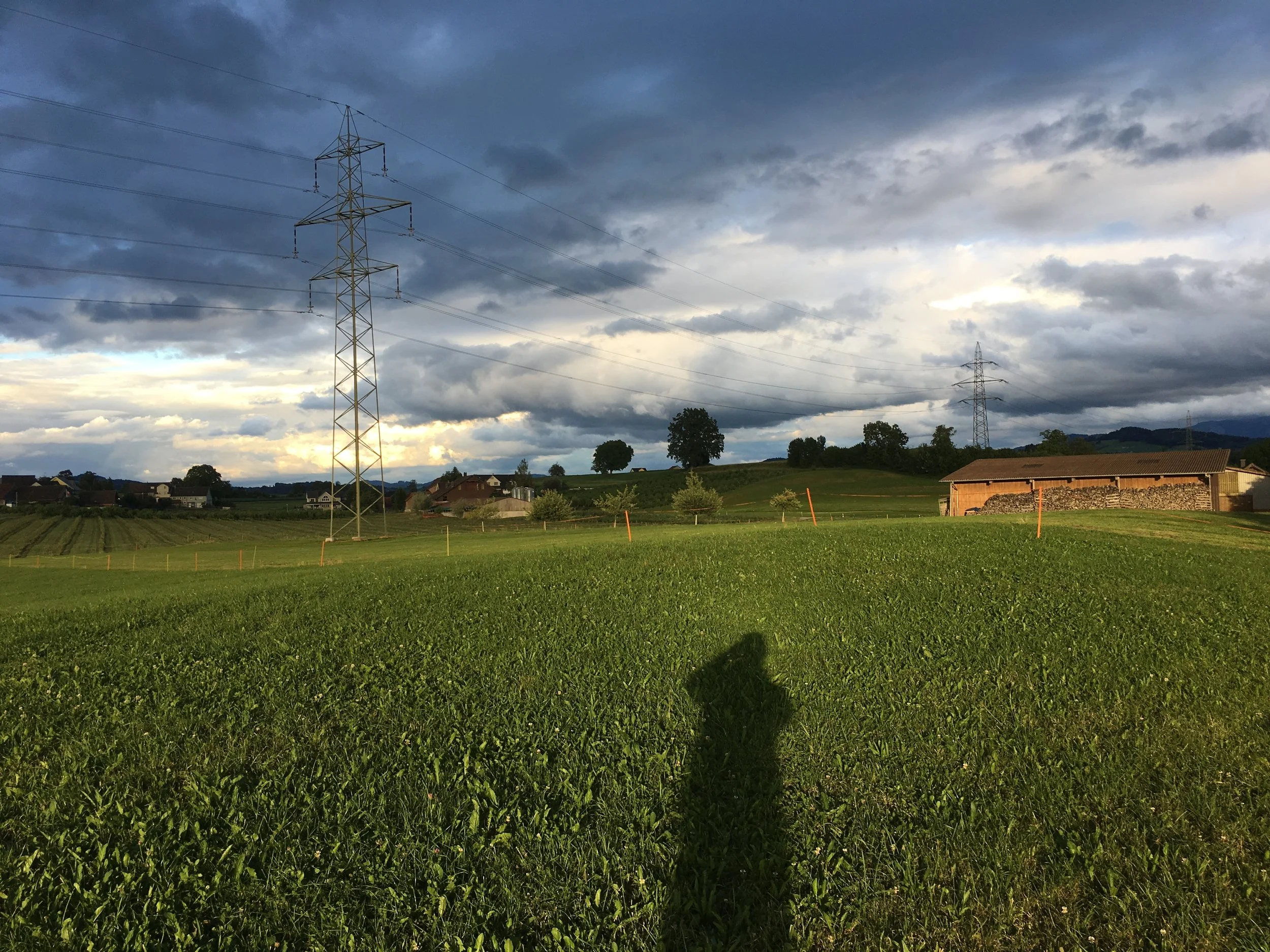 Wir treffen uns zum Brunch