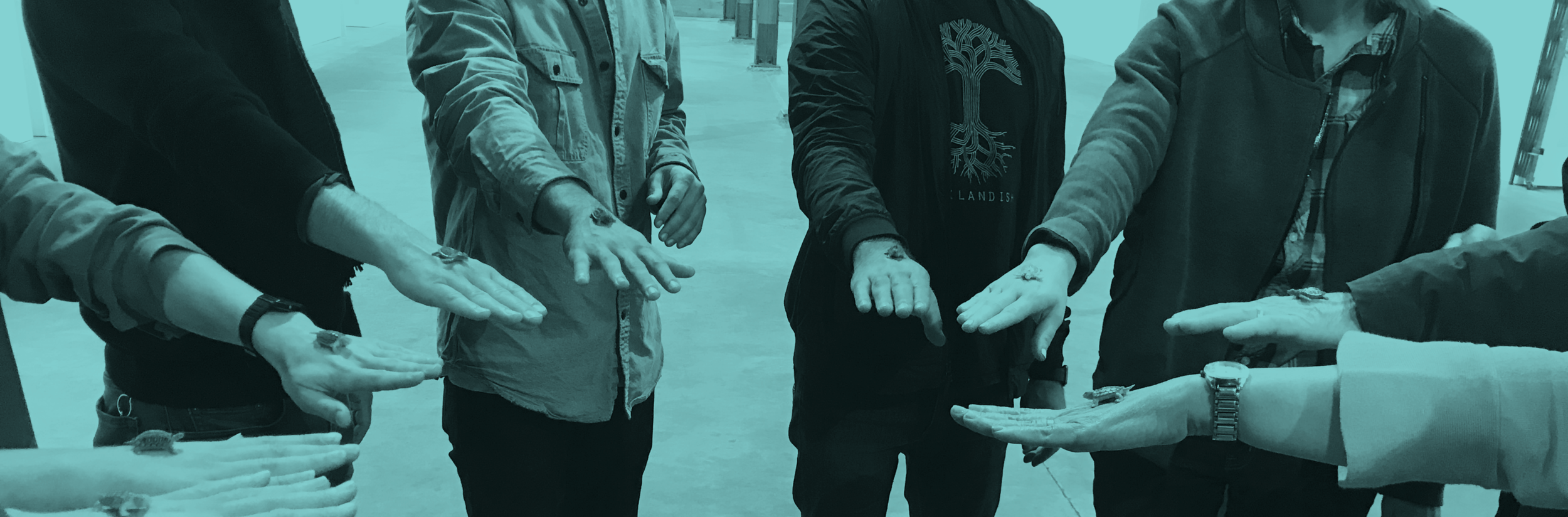 WalkDiscourse_Banner_02_AQUA_top.png