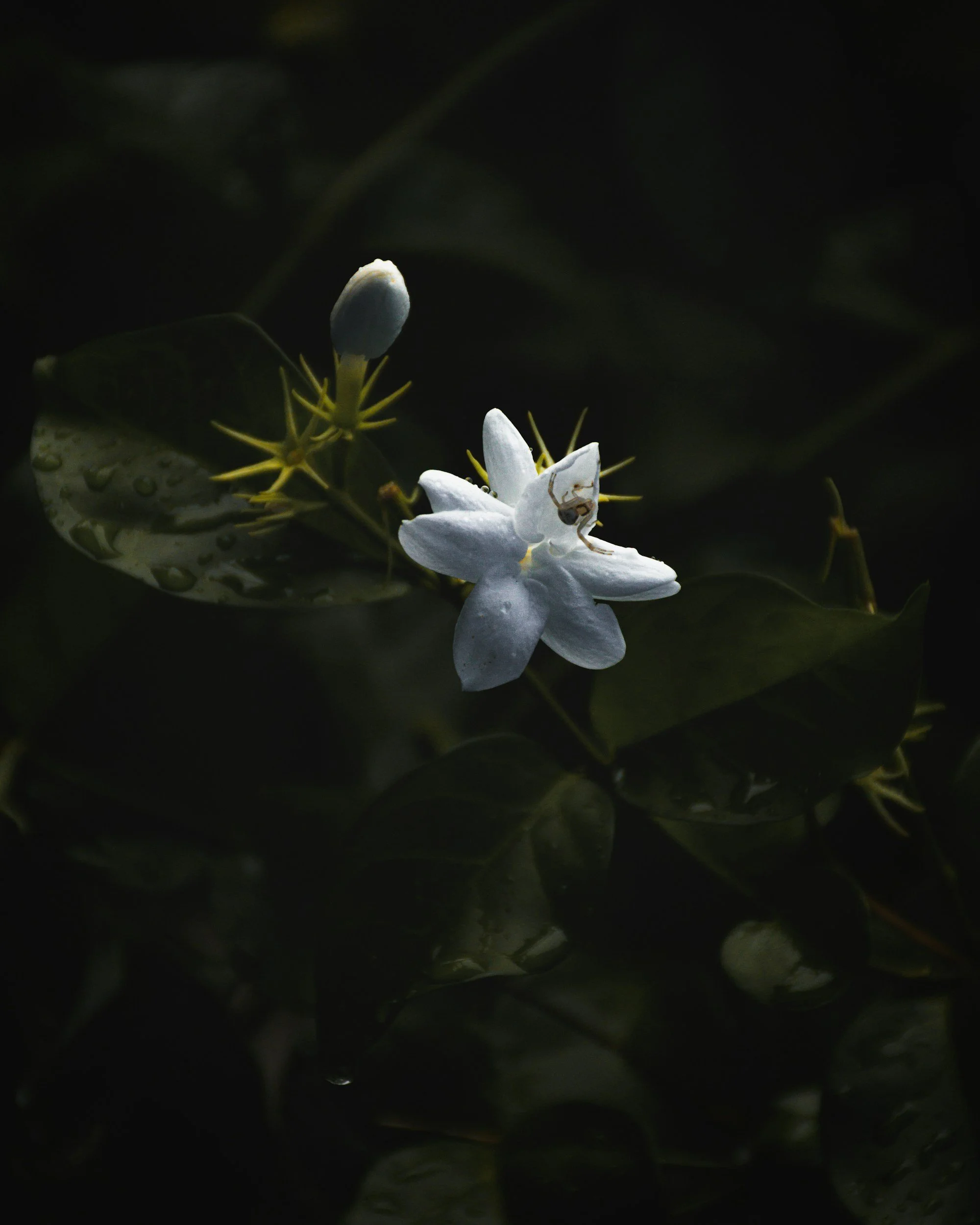 unsplash-image-DXNU7H8NdiM.jpg