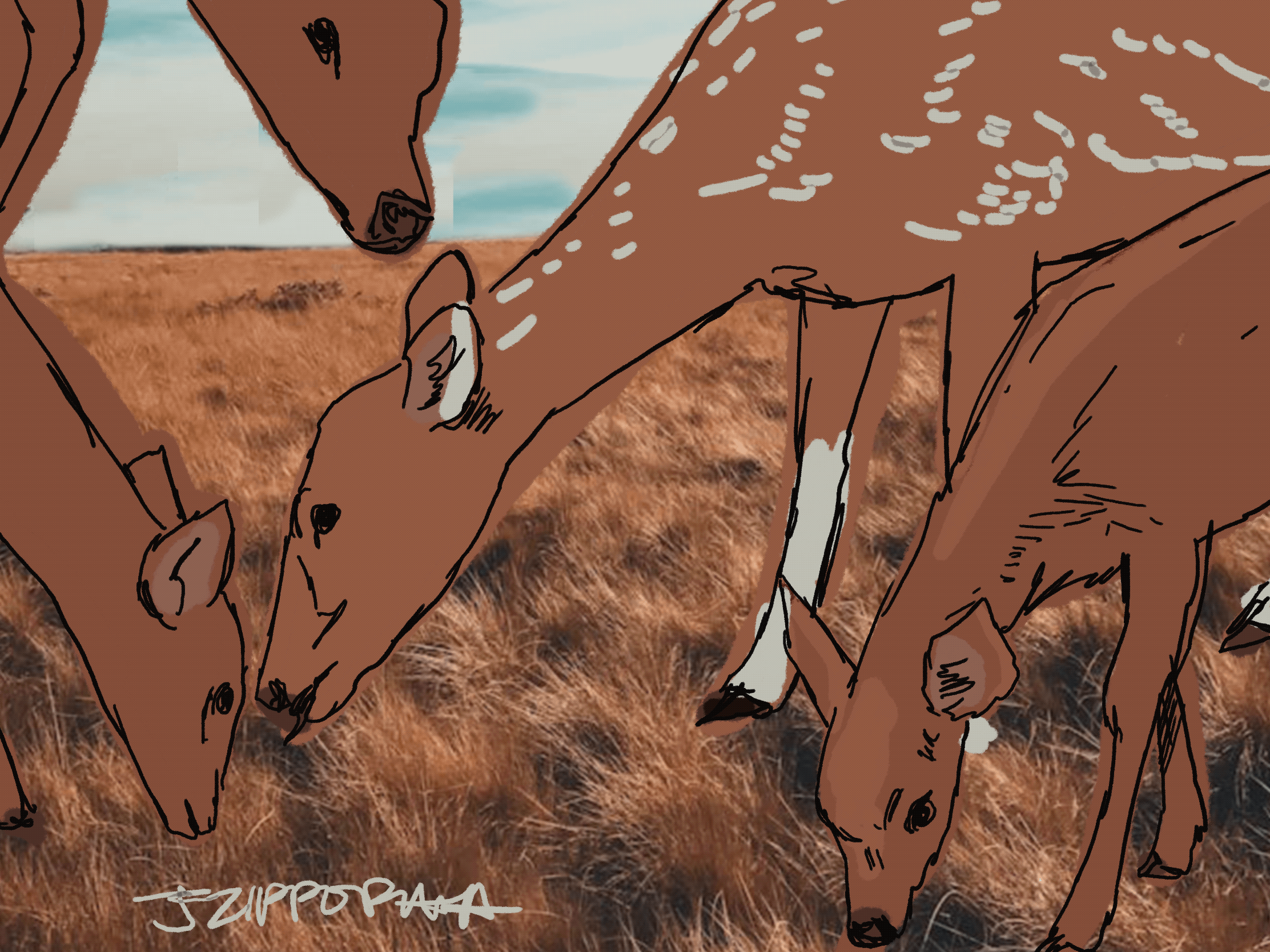 Hold On Deer 