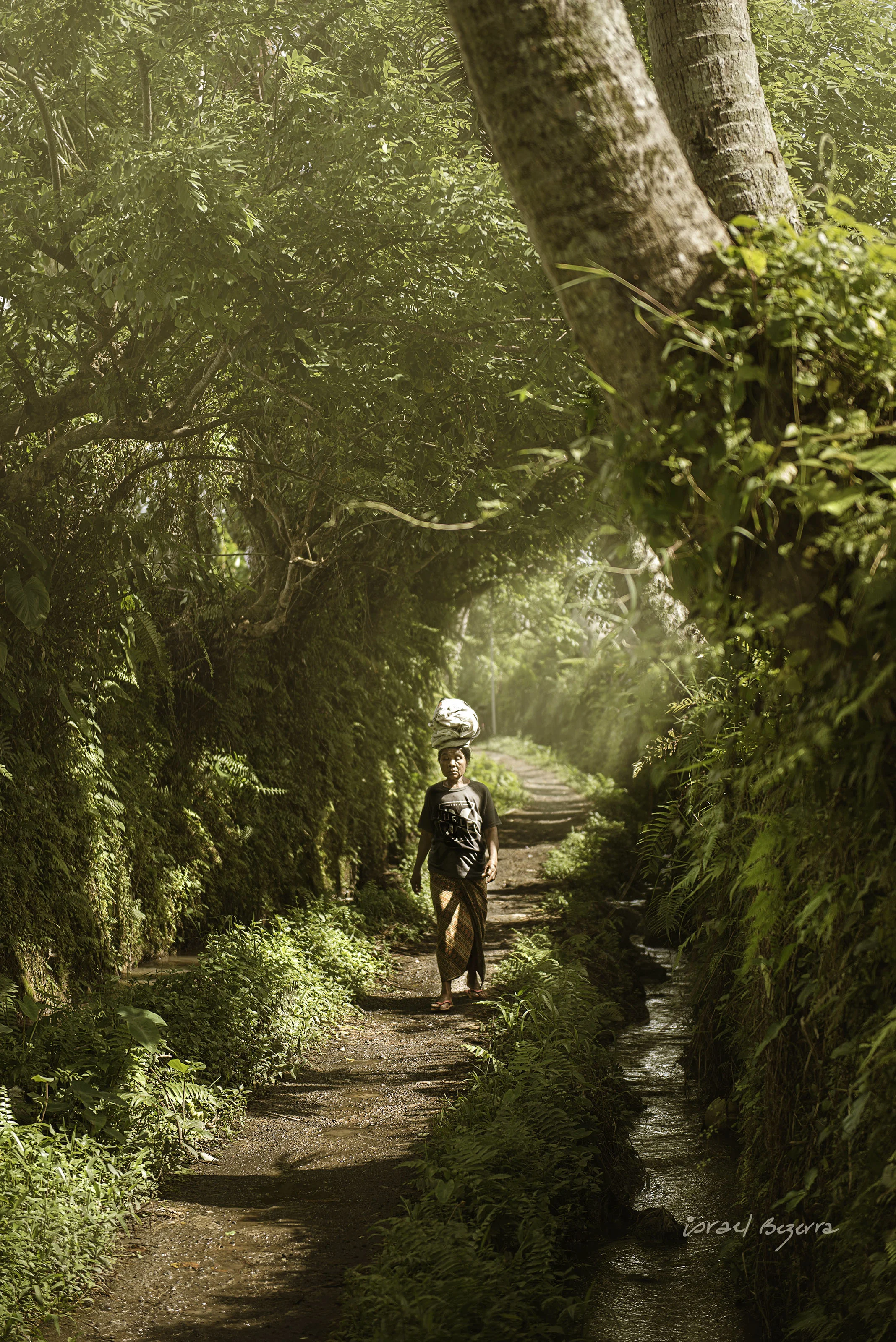 THE PATH 19.jpg